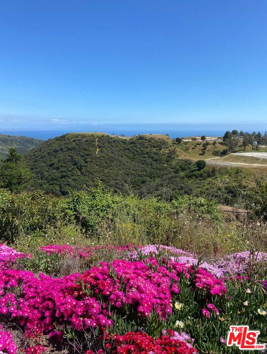 Malibu, California, 90265, United States, ,Land,For Sale,1827117