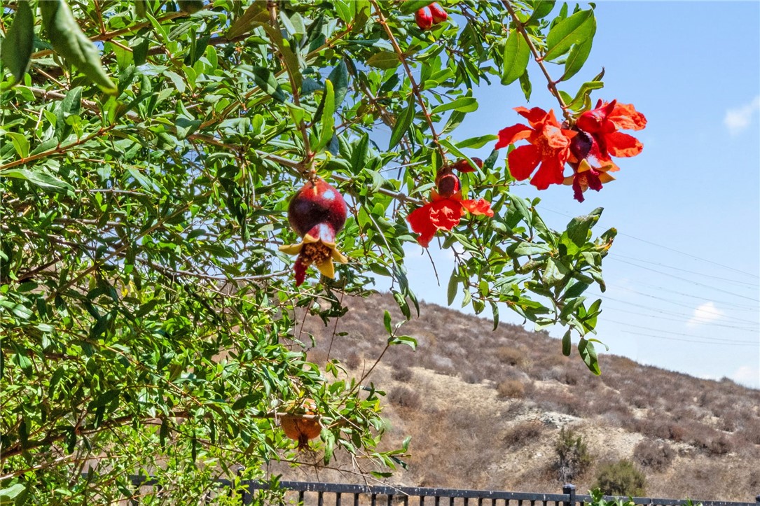 Beaumont, California, 92223, United States, 3 Bedrooms Bedrooms, ,3 BathroomsBathrooms,Residential,For Sale,1979571