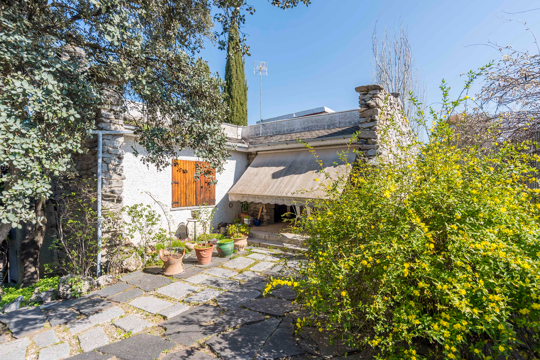  Wonderful hectare plot in La Moraleja - 物件實景