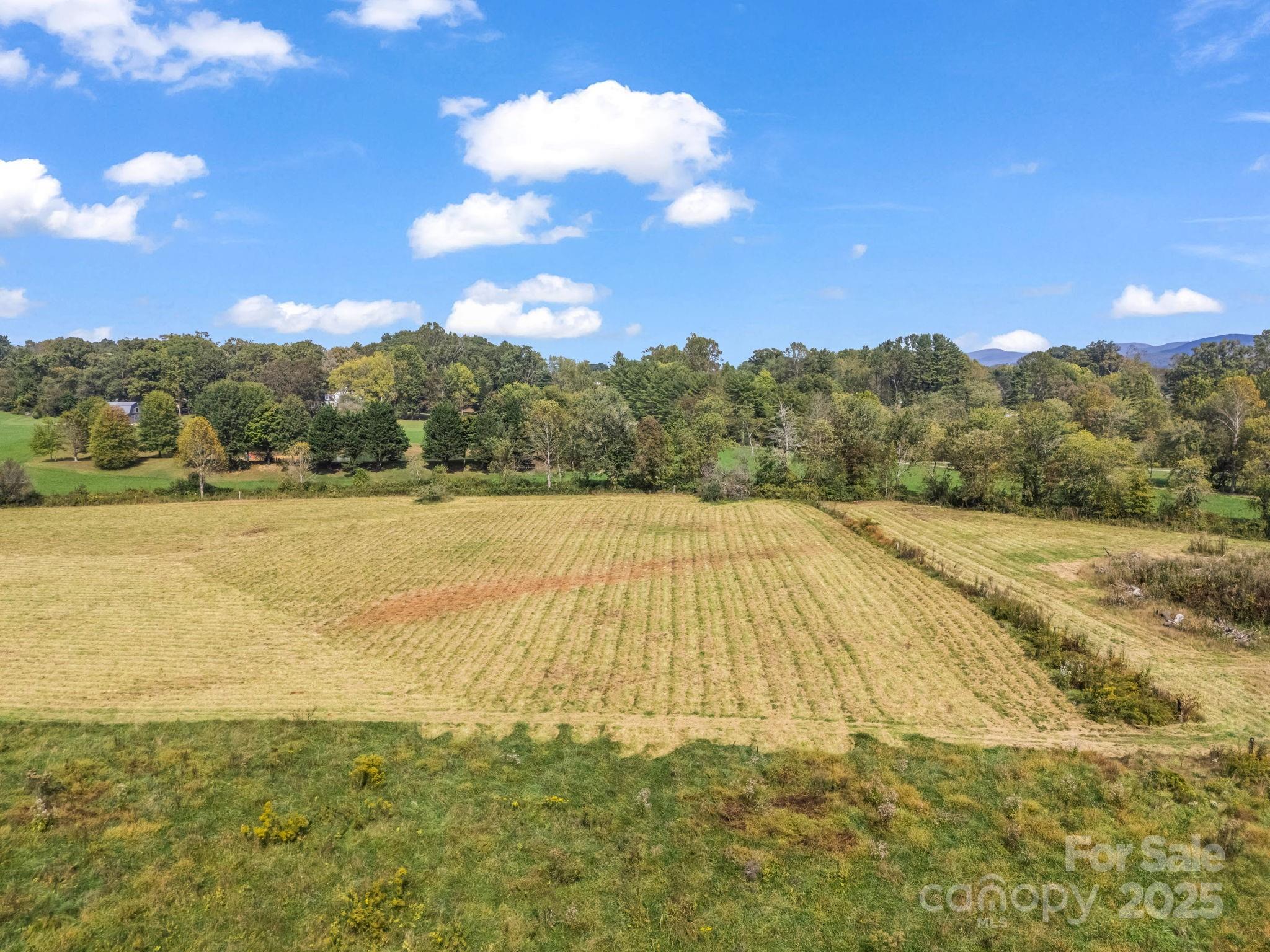 Mills River, North Carolina, 28759, United States, ,Land,For Sale,1975215