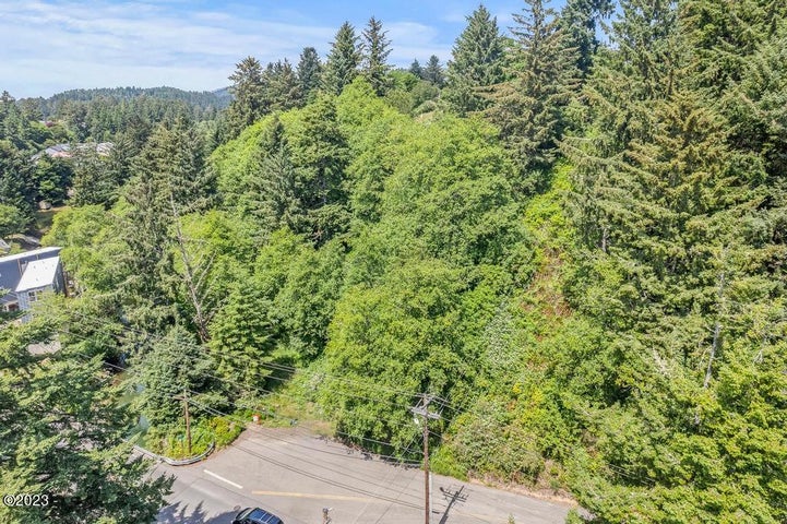 Pacific City, Oregon, 97135, United States, ,Land,For Sale,1977303