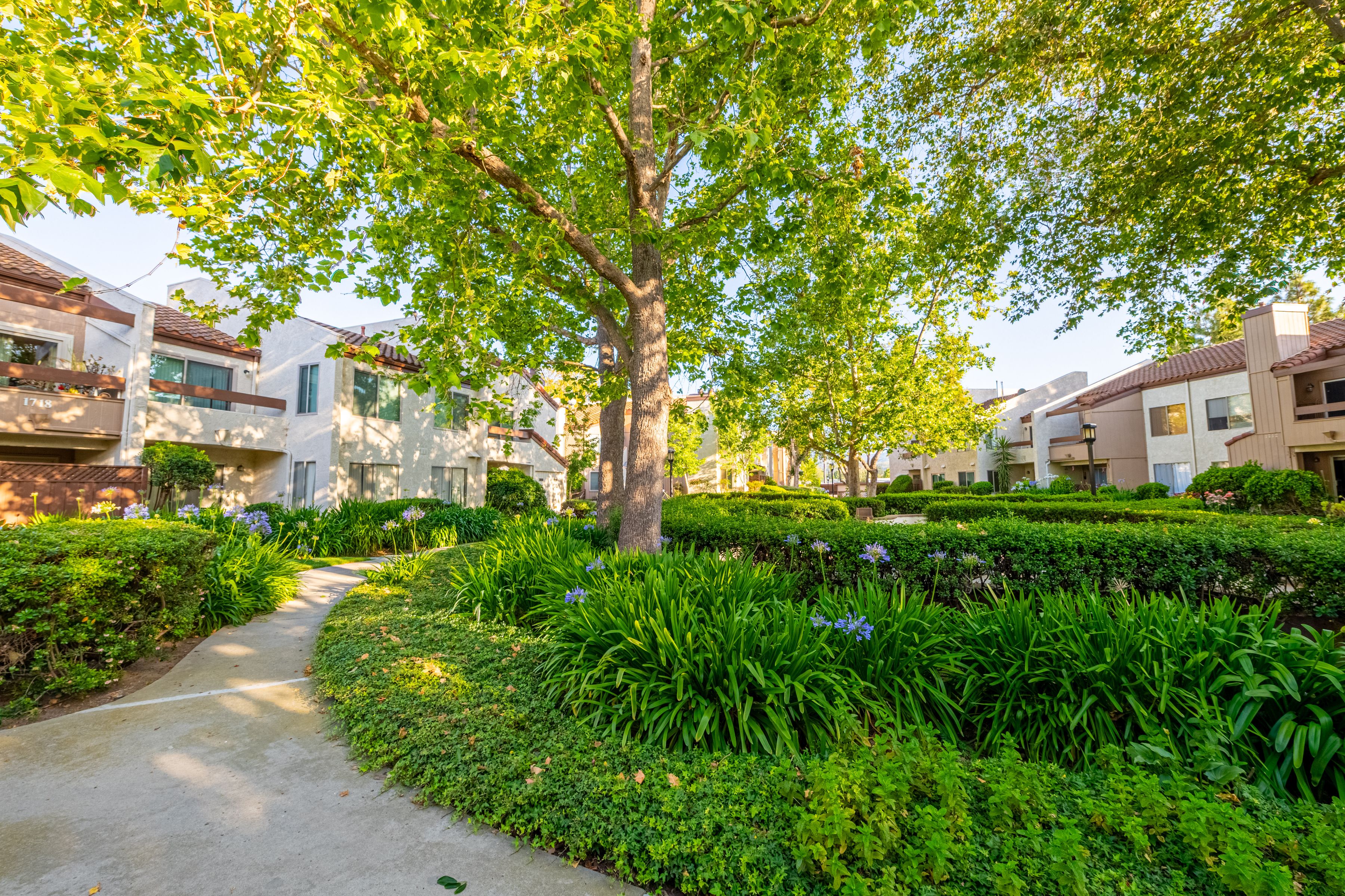  1718 Sinaloa Road #219, Simi Valley - 物件實景