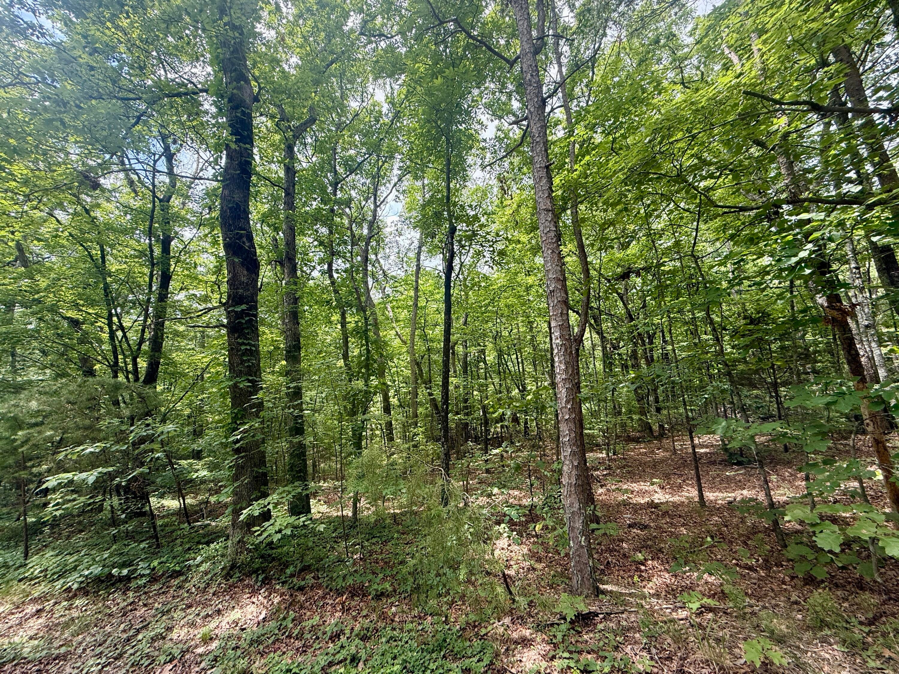 Dunlap, Tennessee, 37327, United States, ,Land,For Sale,1877286