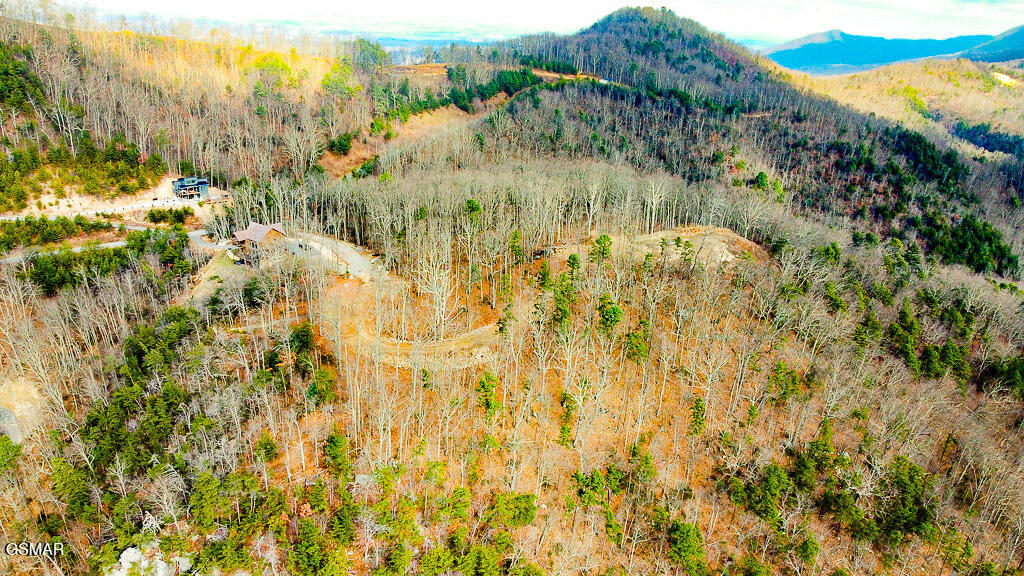 Sevierville, Tennessee, 37876, United States, ,Land,For Sale,2008093