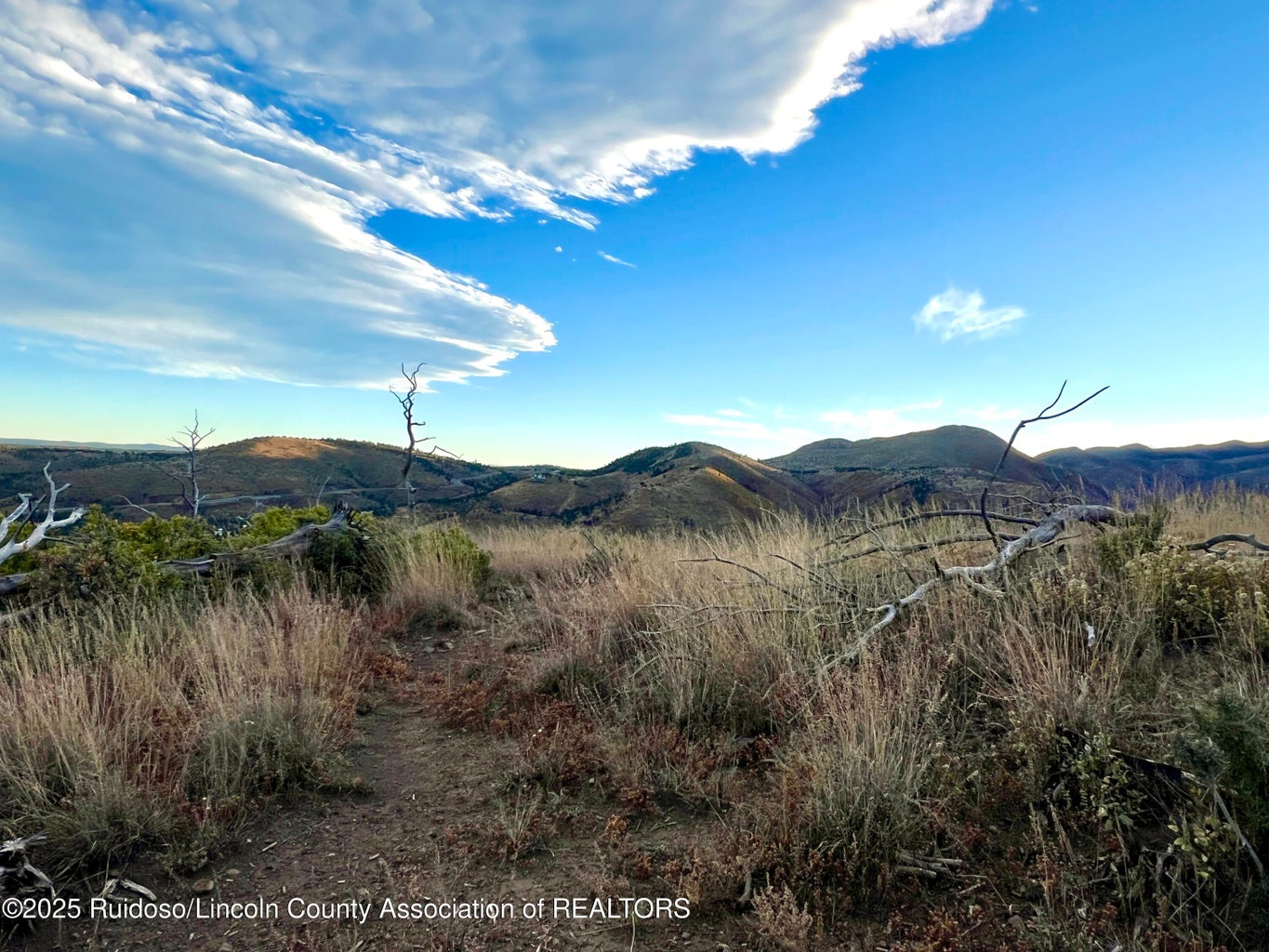 Nogal, New Mexico, 88341, United States, ,Land,For Sale,1988208