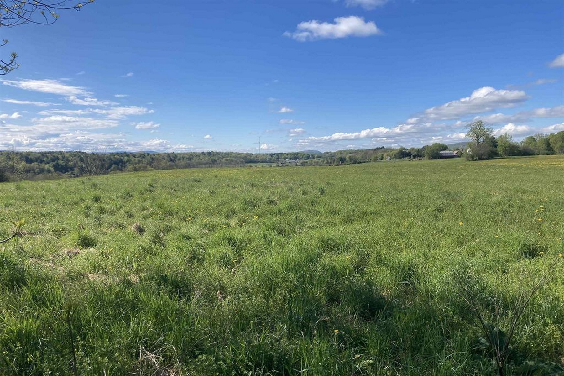  1555 Spear Street - 物件實景