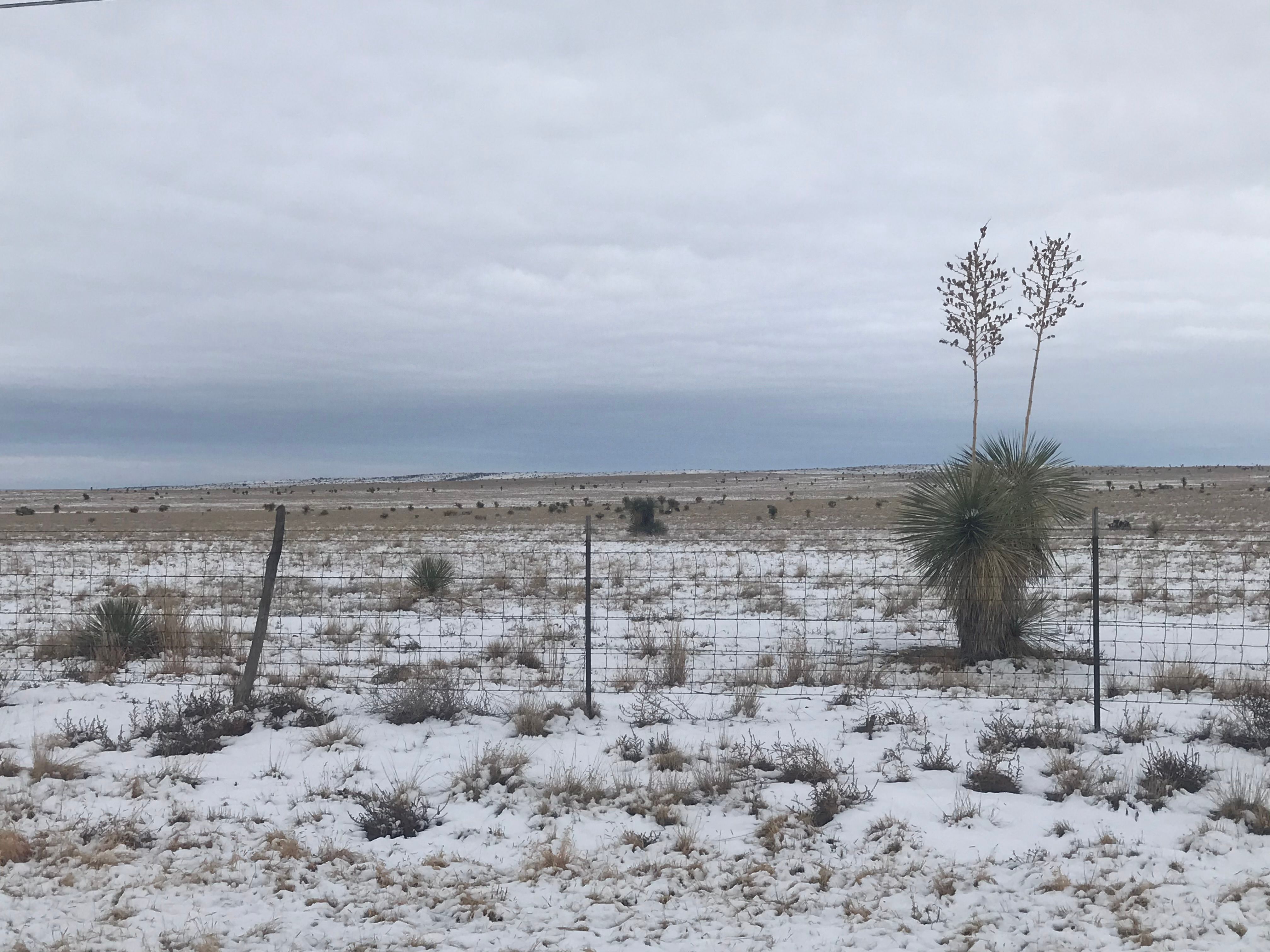  18311 Hwy 90, Marfa, TX 79843 - 物件實景