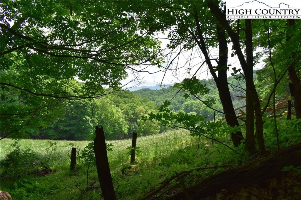 Warrensville, North Carolina, 28693, United States, ,Land,For Sale,1984173