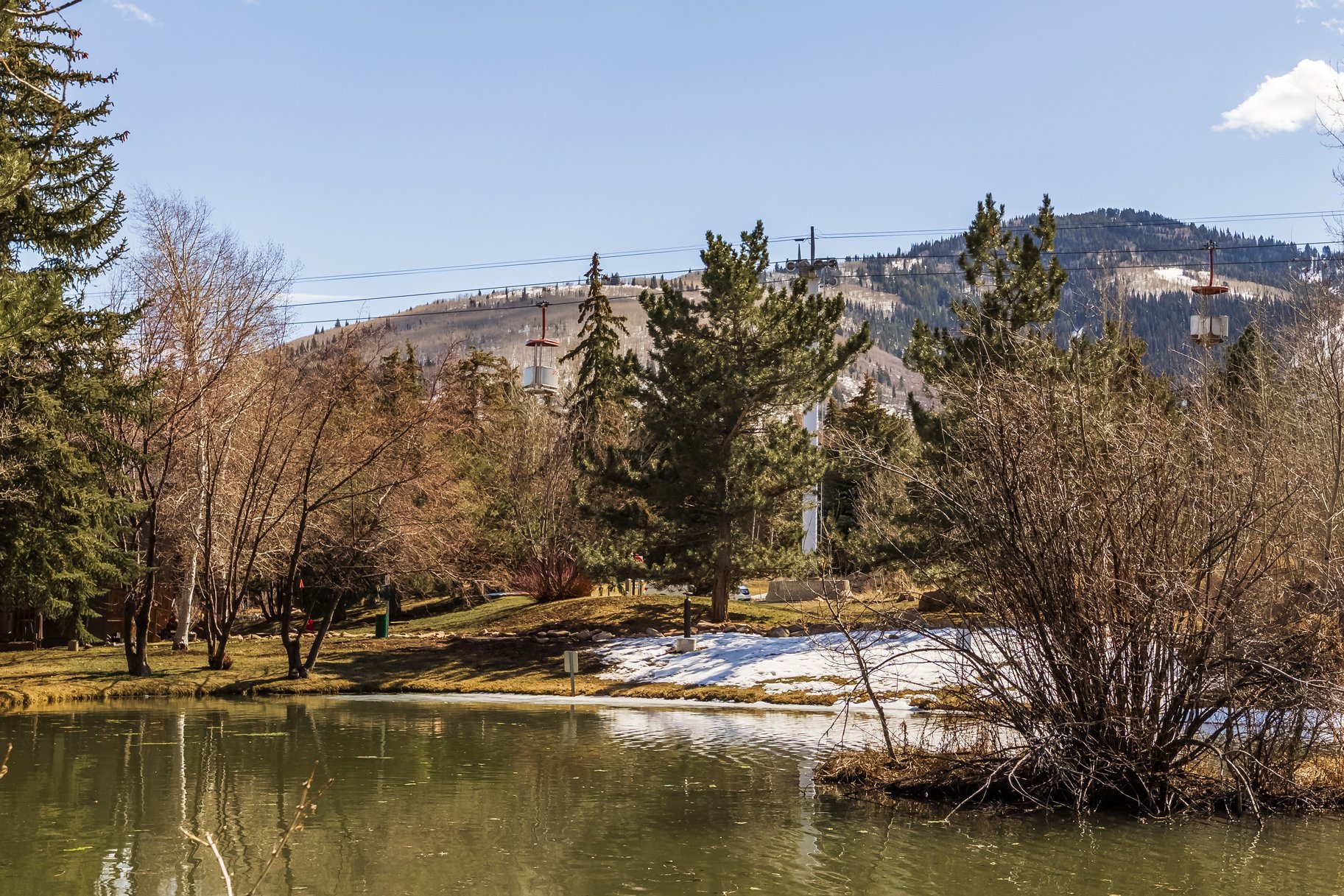  Hidden Gem Alert. Pond-Front. Turnkey. Income-Ready - 物件實景