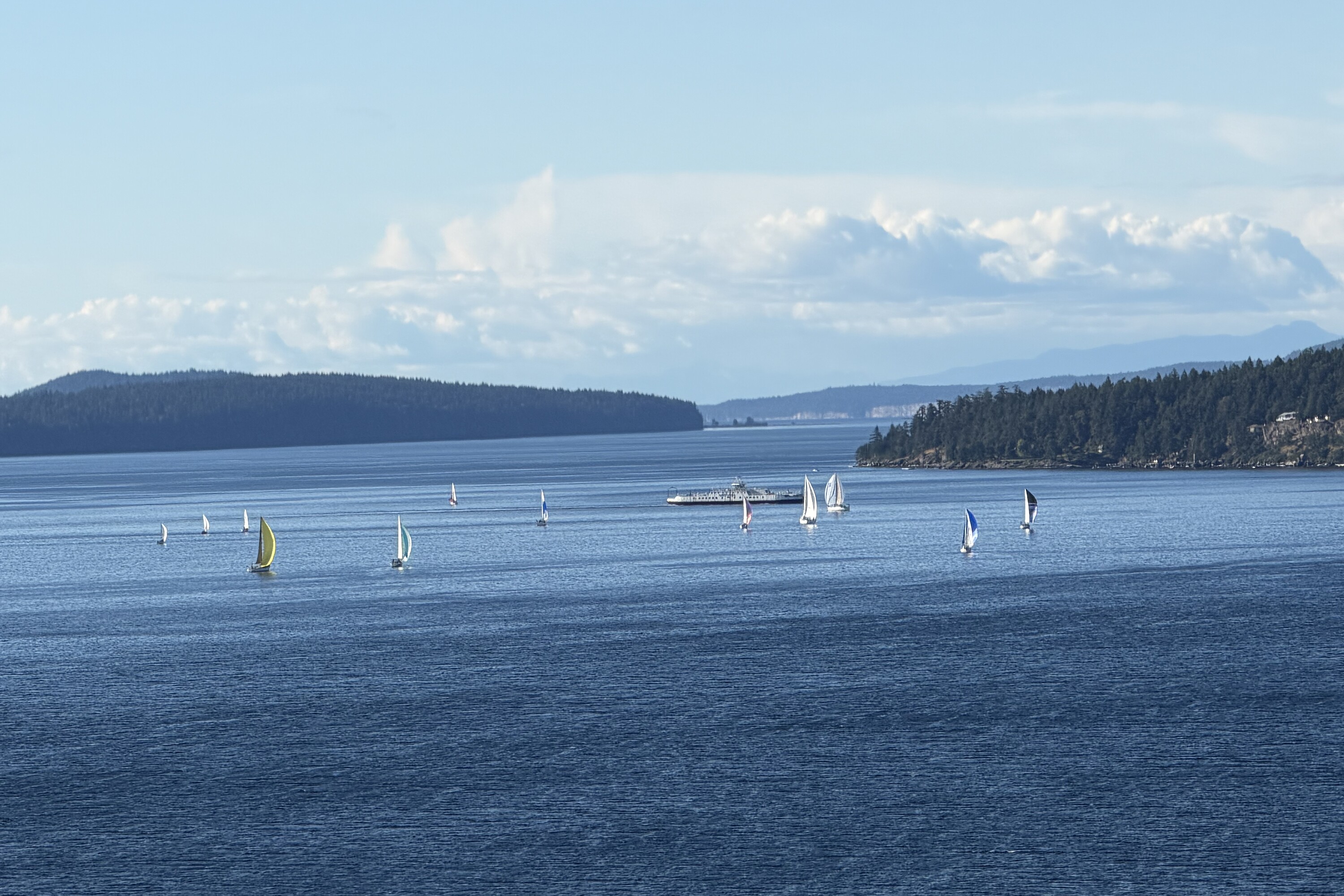  Oceanfront in Narrows West - 物件實景