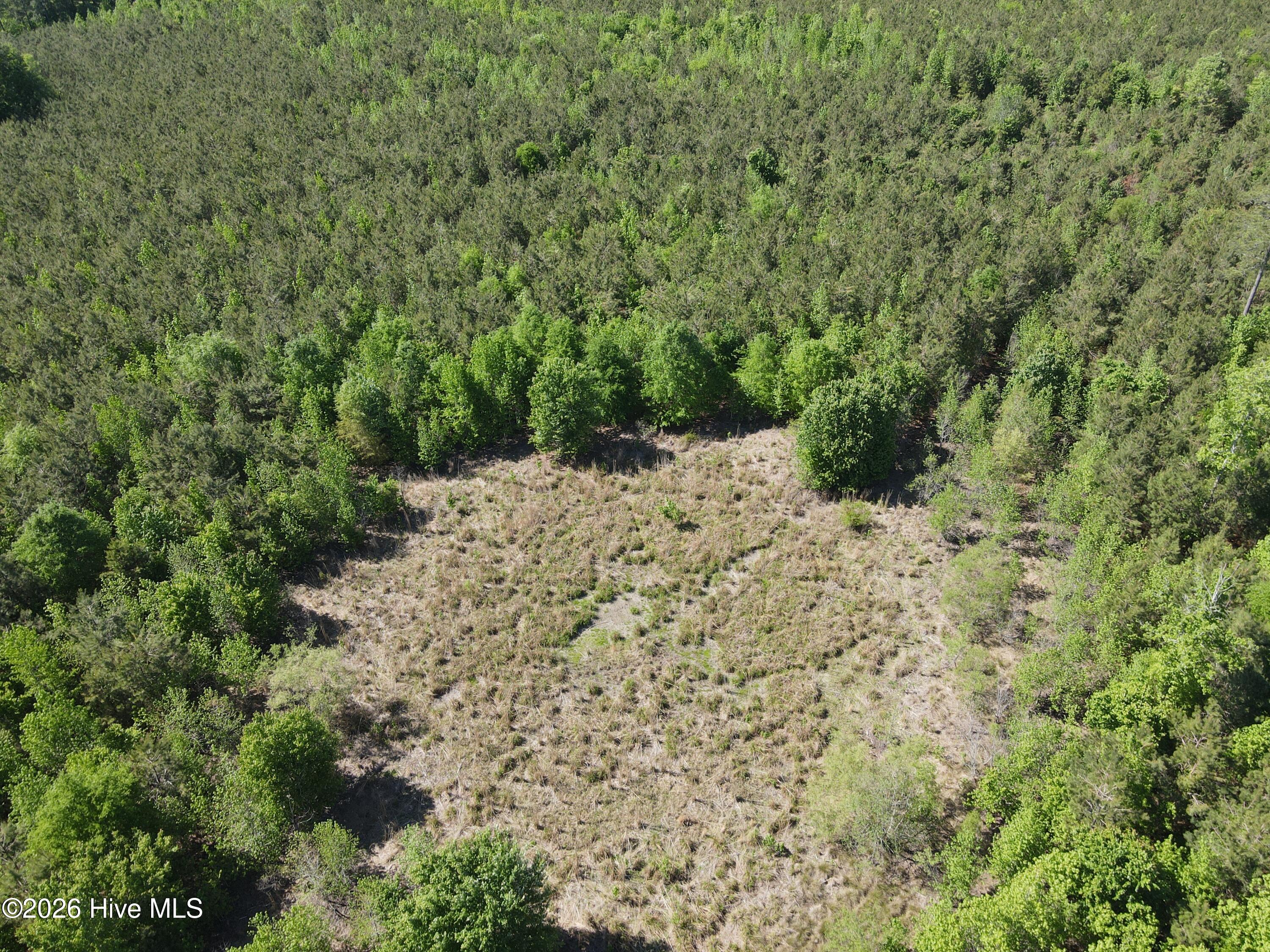 Ahoskie, North Carolina, 27910, United States, ,Land,For Sale,2048833