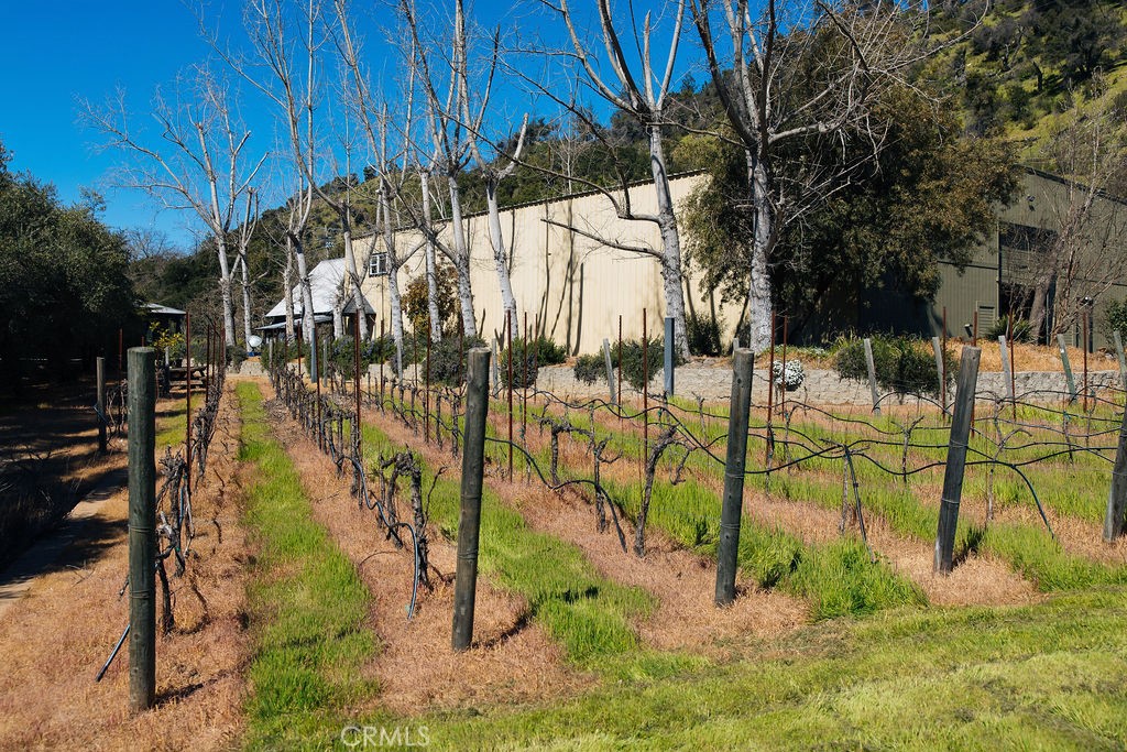St. Helena, California, 94574, United States, ,Residential,For Sale,1737309