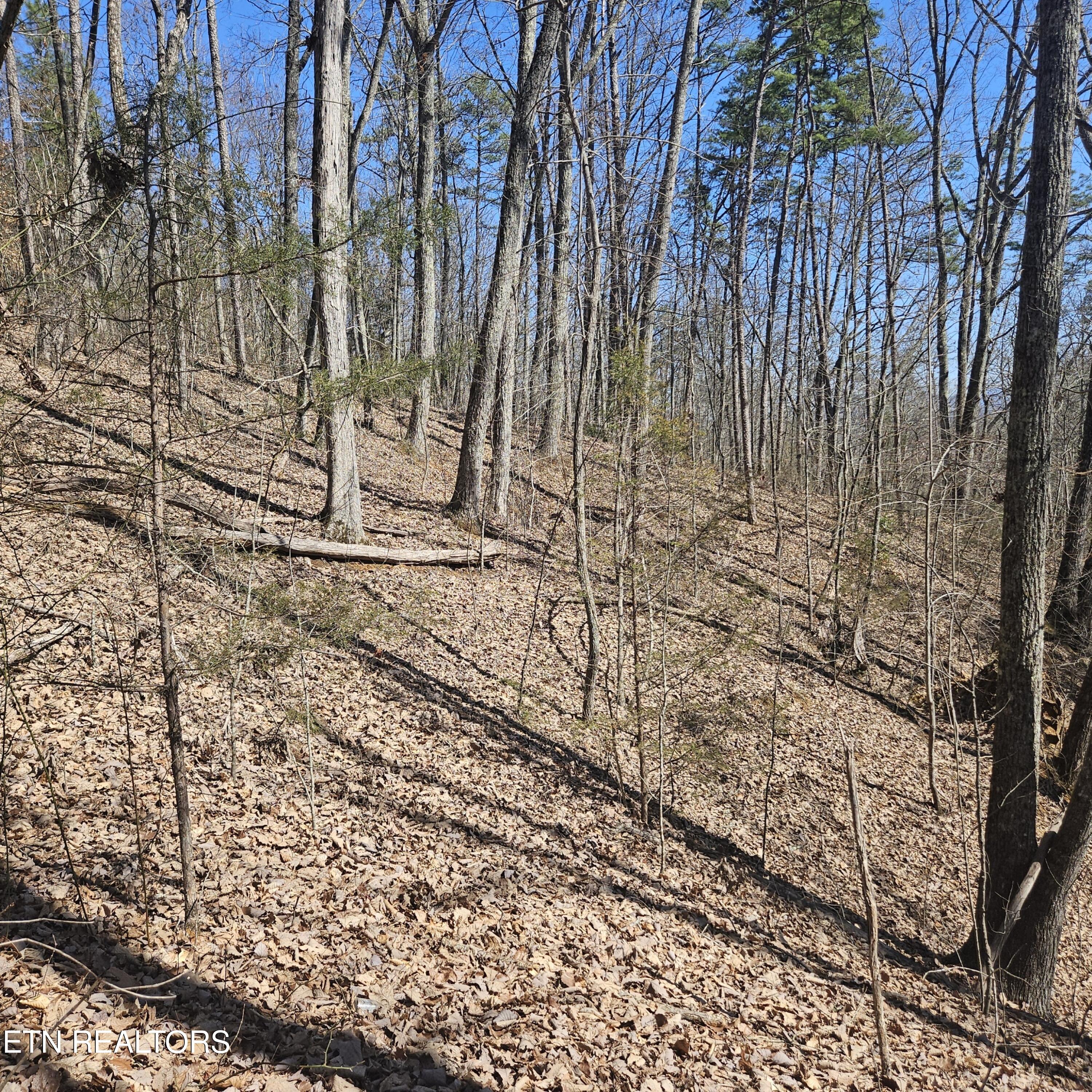 Tellico Plains, Tennessee, 37385, United States, ,Residential,For Sale,1922105