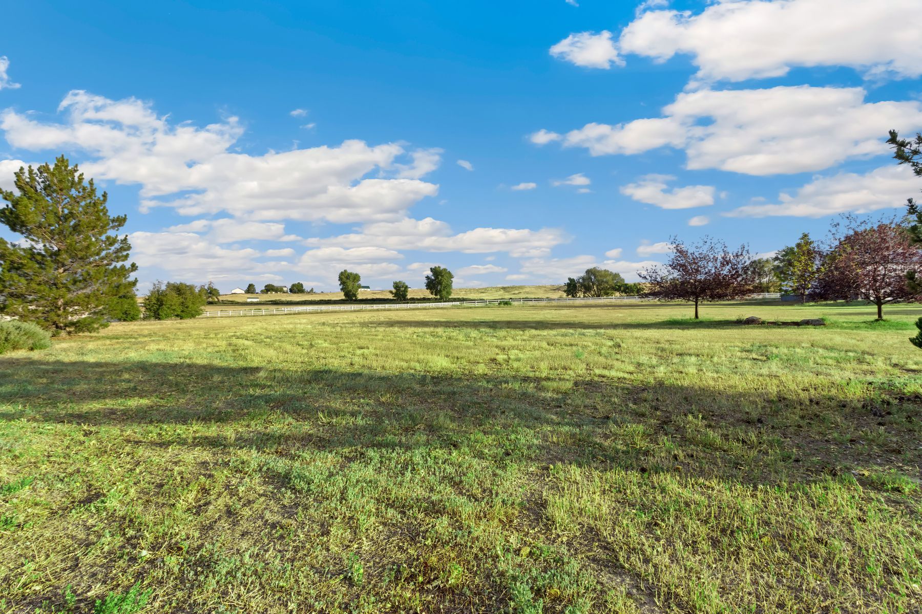  Stunning 5.1-Acre Horse Property in Southwest Loveland - 物件實景