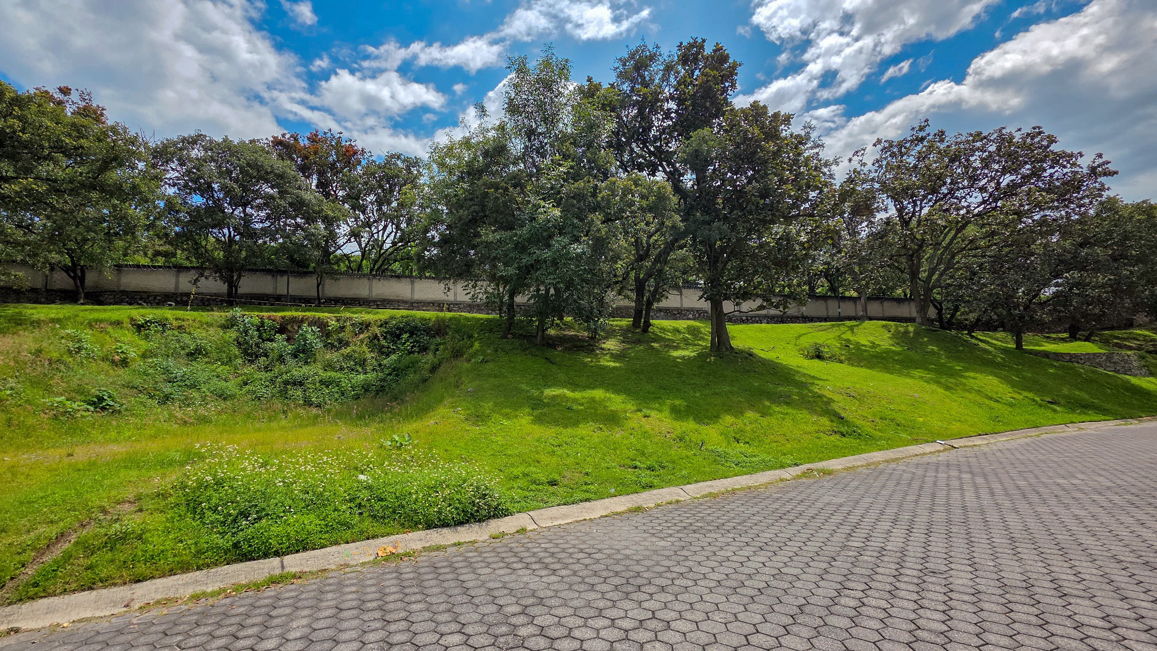  Terreno en Venta  Bosque Real, Zona Sur - 物件實景
