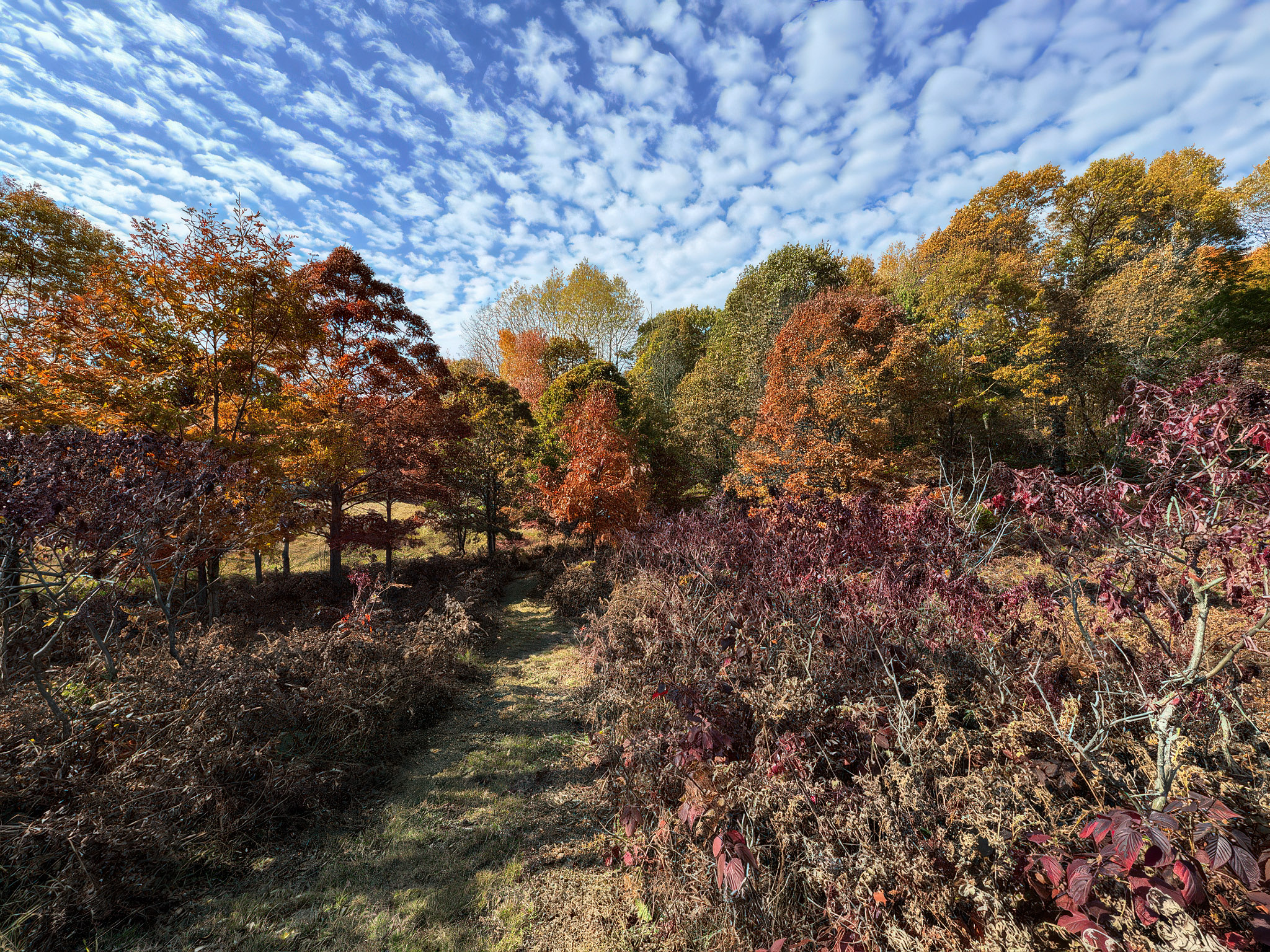 Branch, Michigan, 49402, United States, 1 Bedroom Bedrooms, ,1 BathroomBathrooms,Residential,For Sale,2001233