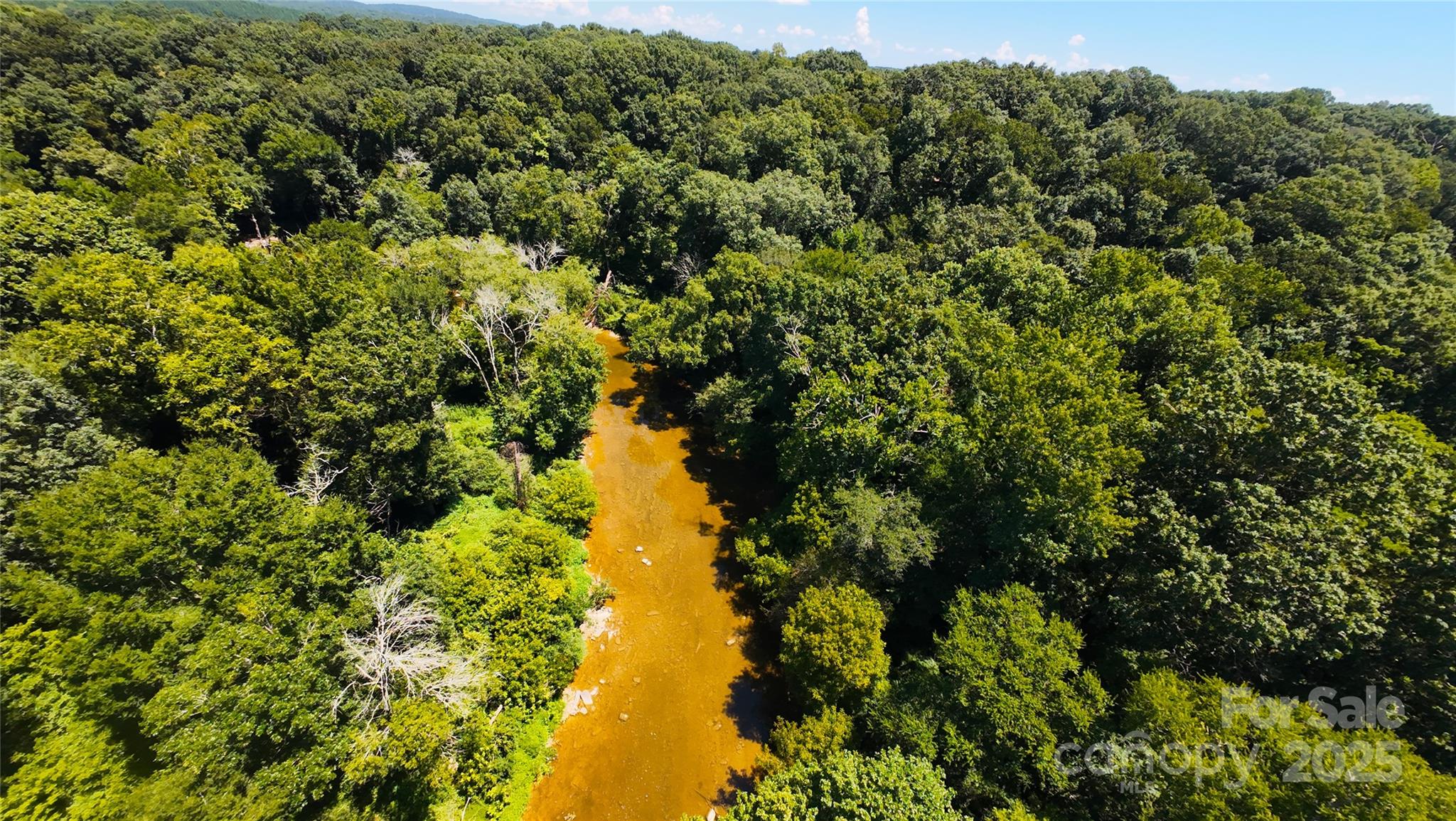 Polkton, North Carolina, 28135, United States, ,Land,For Sale,1976298