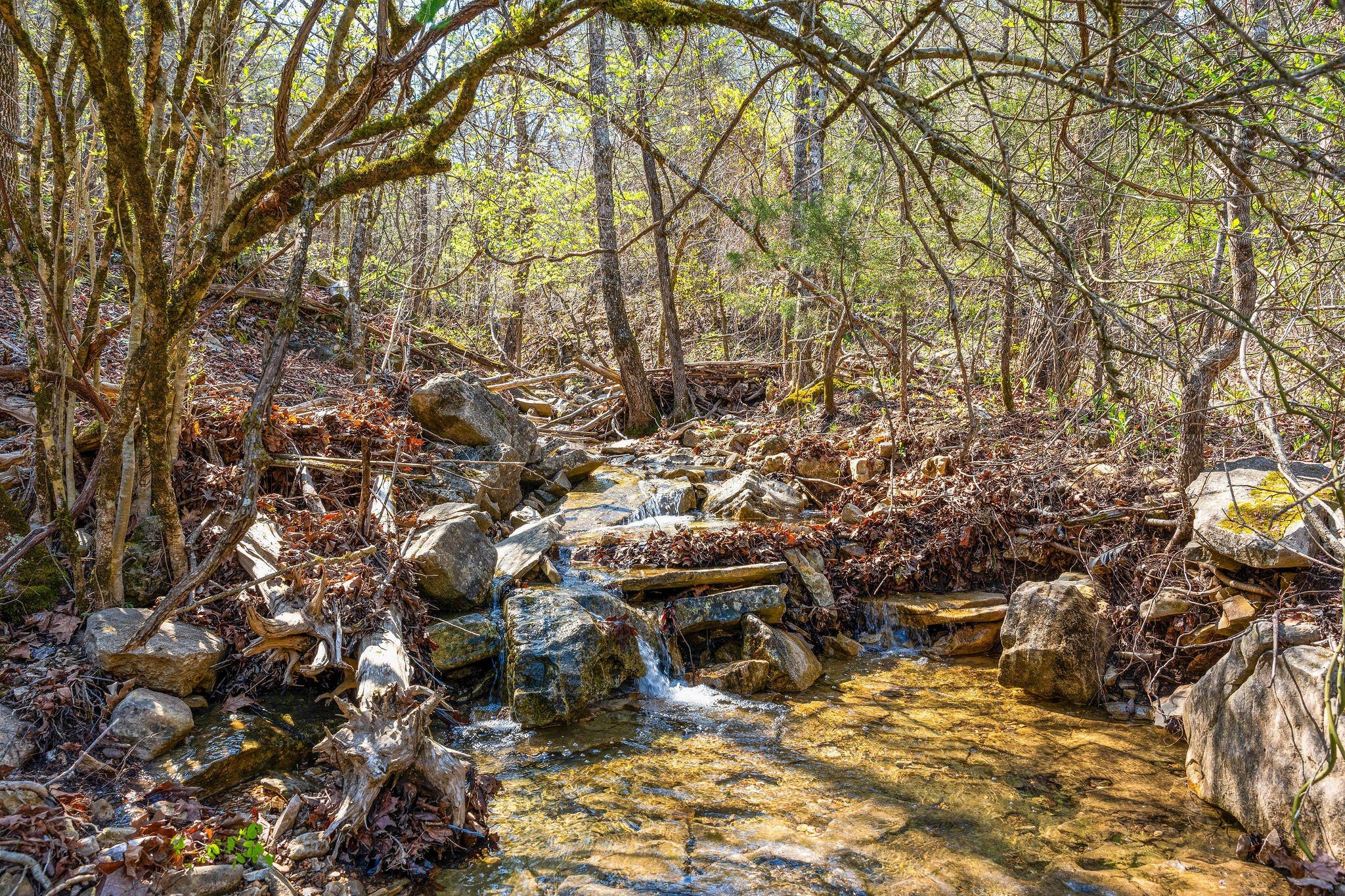 Kirbyville, Missouri, 65679, United States, ,Land,For Sale,1978892