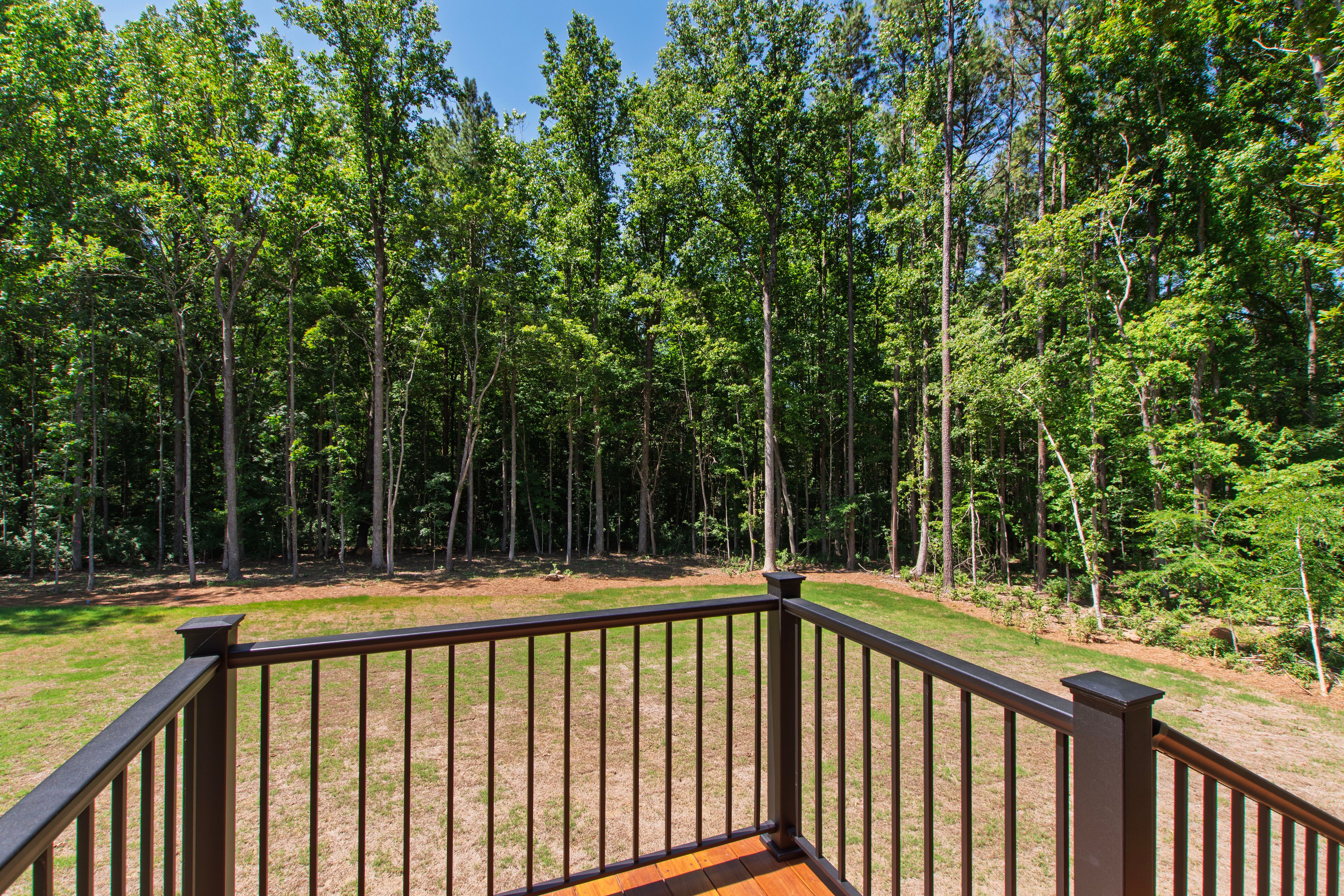  176 Clementine Way, Chapel Hill, NC 27516 - 物件實景