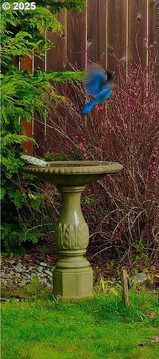 Brookings, Oregon, 97415, United States, 3 Bedrooms Bedrooms, ,2 BathroomsBathrooms,Residential,For Sale,1974260