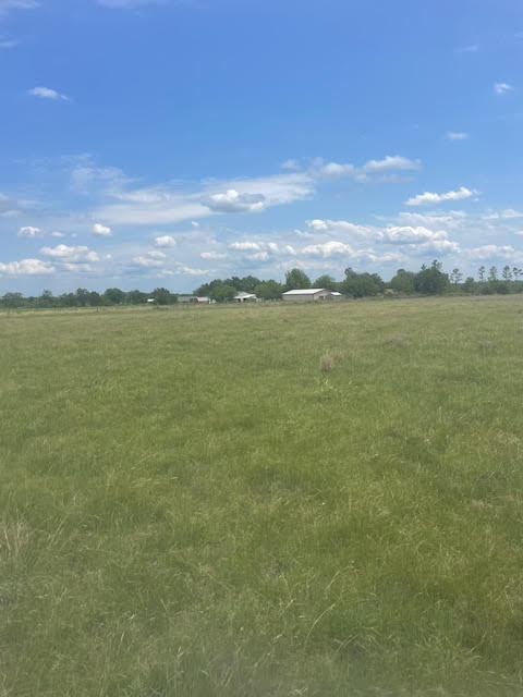 Holland, Texas, 76534, United States, ,Residential,For Sale,1994334