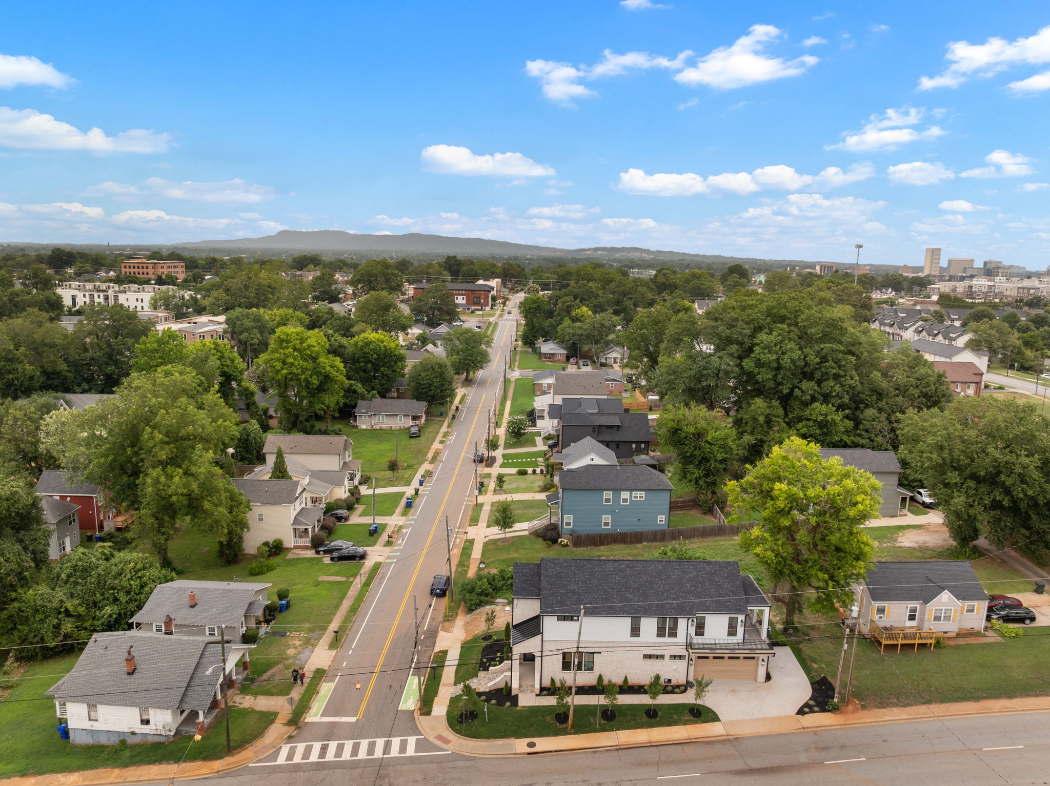  223 South Calhoun Street, Greenville, SC 29601 - 物件實景