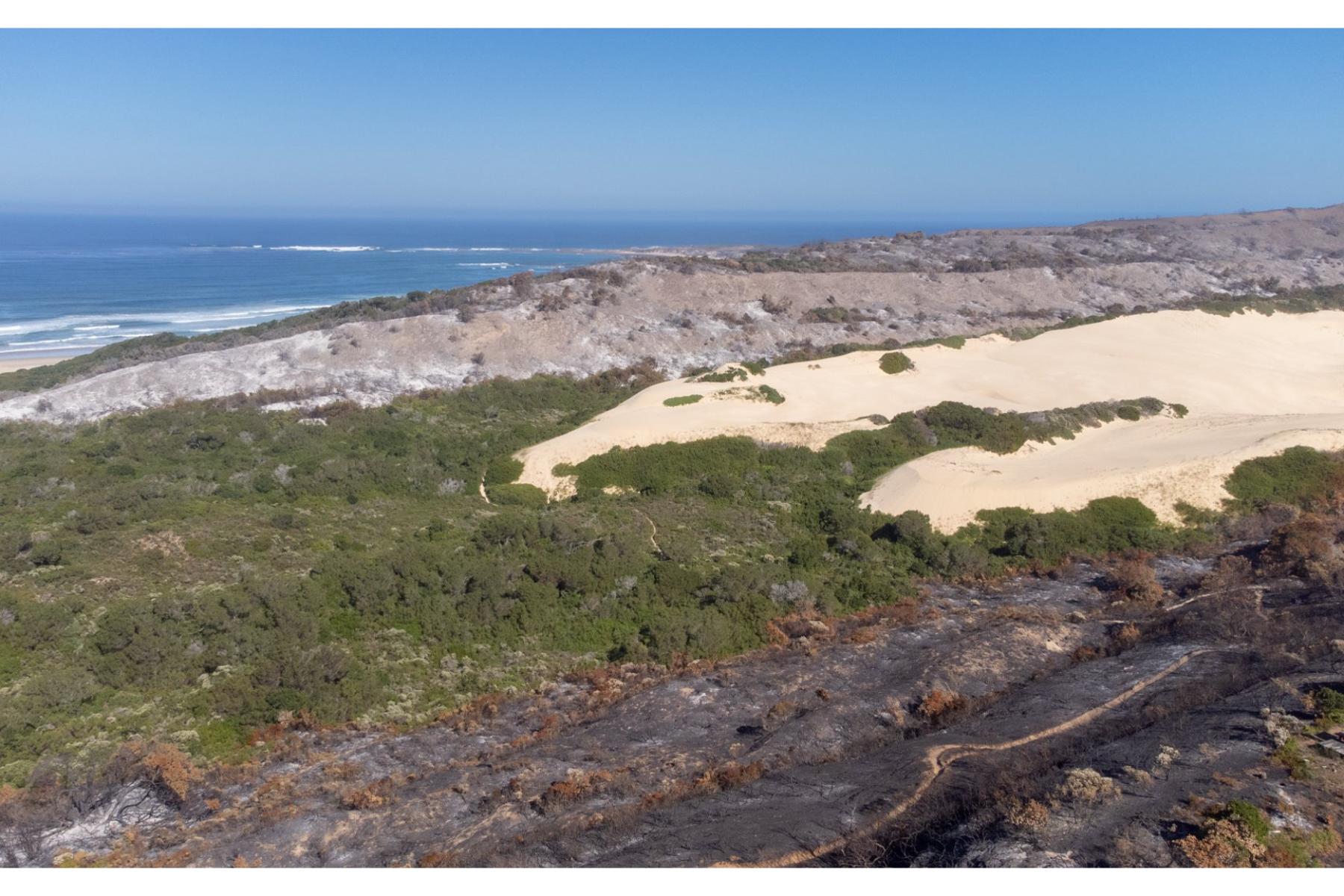  OYSTER BAY DEVELOPMENT LAND FOR SALE - 物件實景