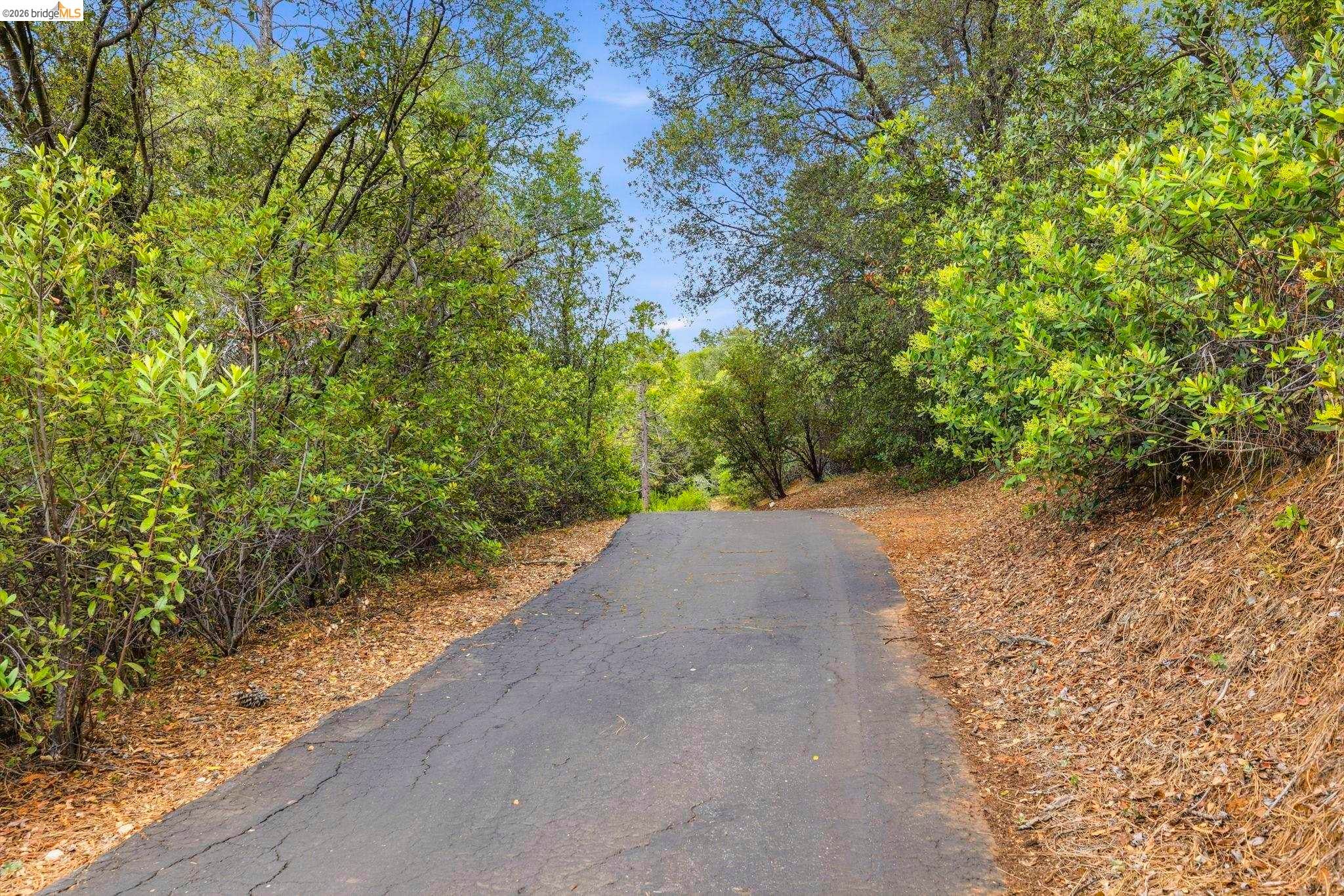 Sonora, California, 95370, United States, 4 Bedrooms Bedrooms, ,2 BathroomsBathrooms,Residential,For Sale,2049184