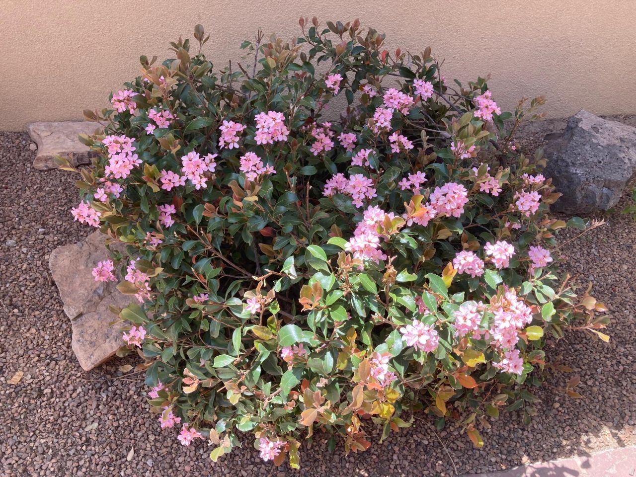 Albuquerque, New Mexico, 87114, United States, 3 Bedrooms Bedrooms, ,3 BathroomsBathrooms,Residential,For Sale,1996892