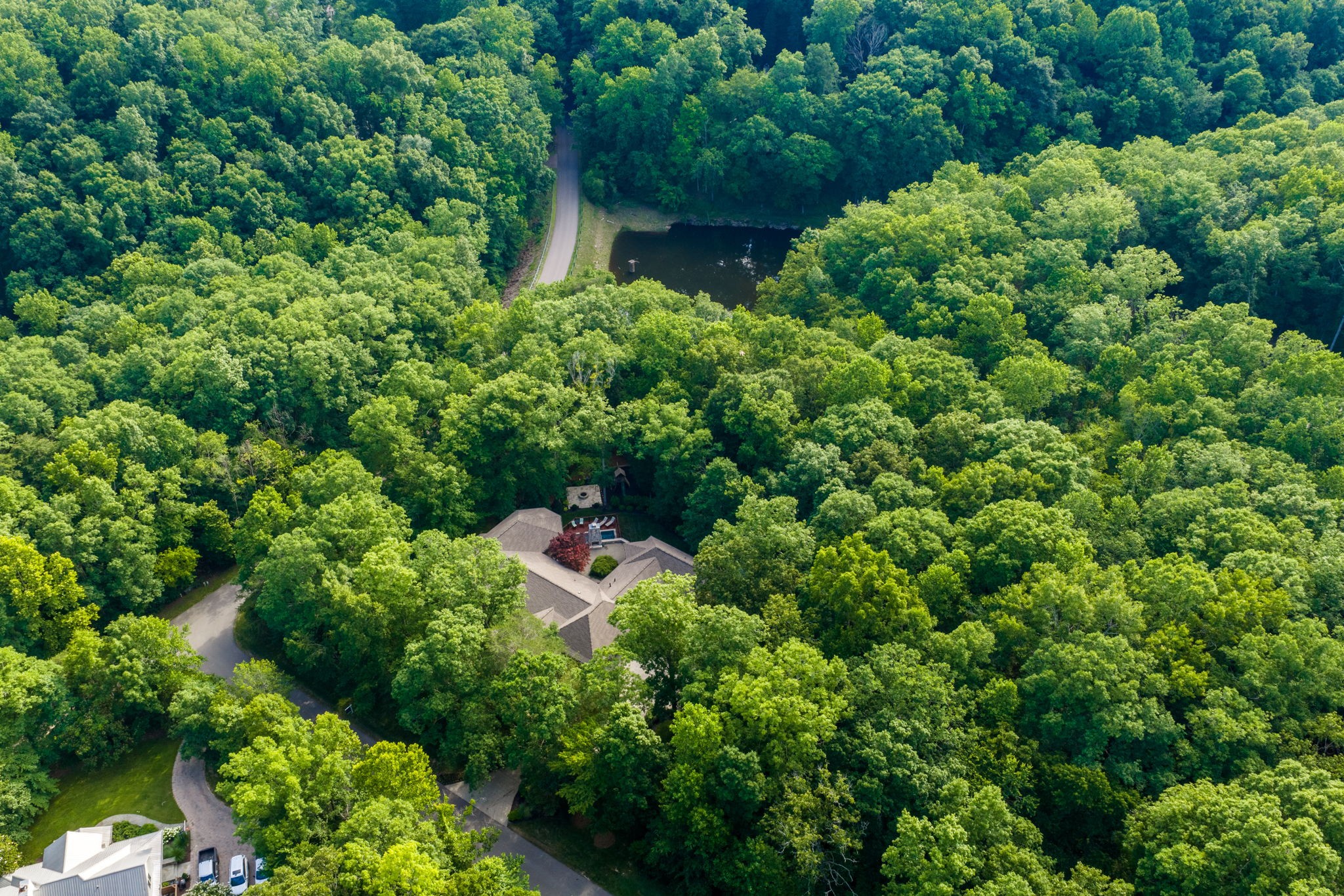  1003 Champion Hills Dr, Kingston Springs, TN, 37082 - 物件實景