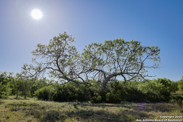 Beeville, Texas, 78102, United States, ,Land,For Sale,1942121