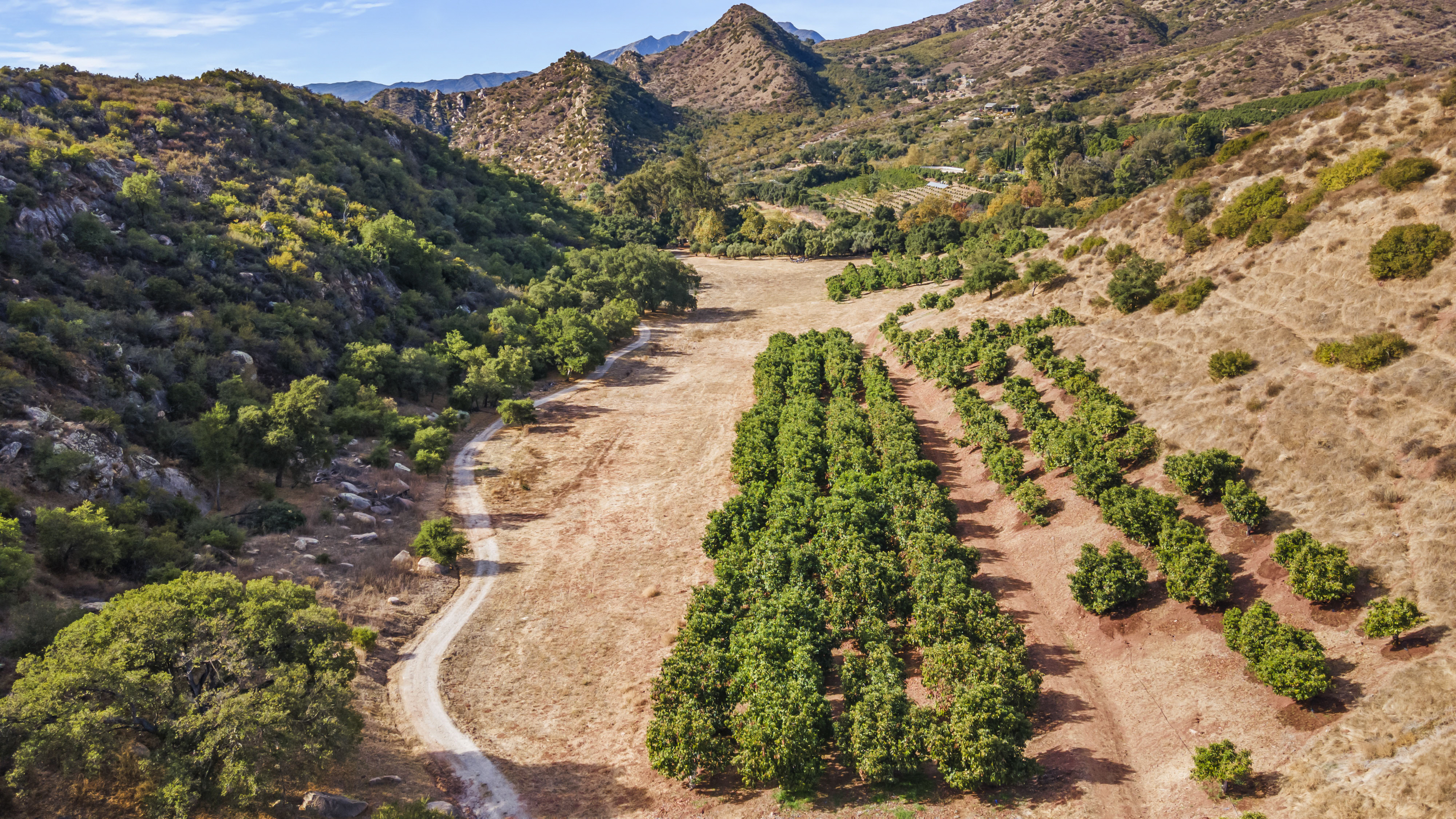 2250 Hermitage Road,Ojai, CA, 93023 - 物件實景