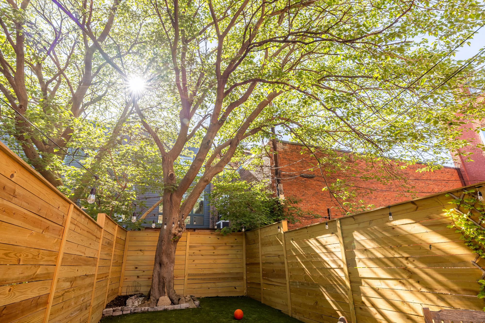  1536 5th Street NW, Washington, DC, 20001 - 物件實景