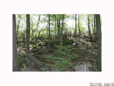 0000 Split Rock Road, Camillus, New York, 13031, United States, ,Land,For Sale,0000 Split Rock Road,1431057