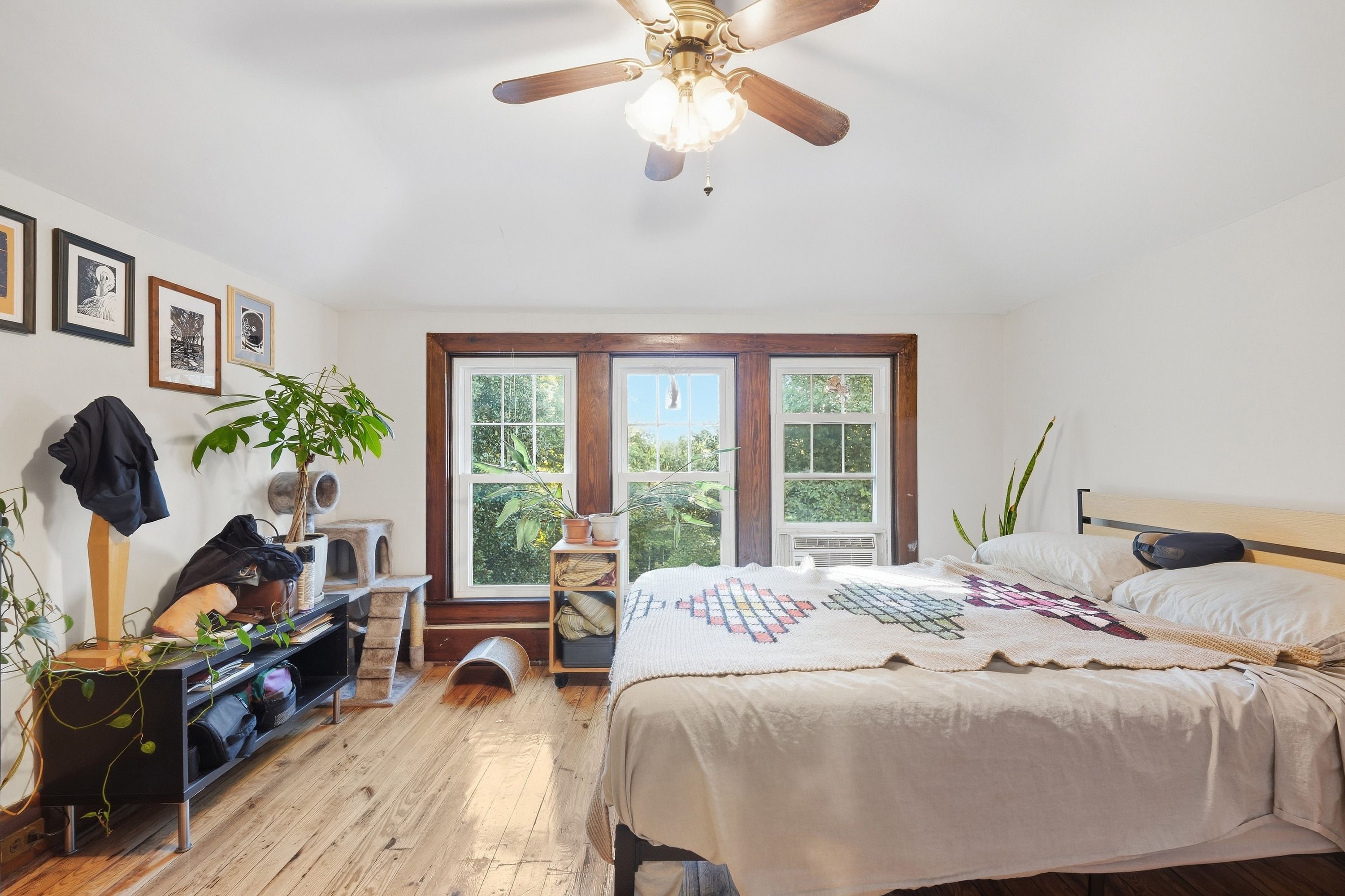  1855 Harvard Drive, Louisville, KY 40205 - 物件實景