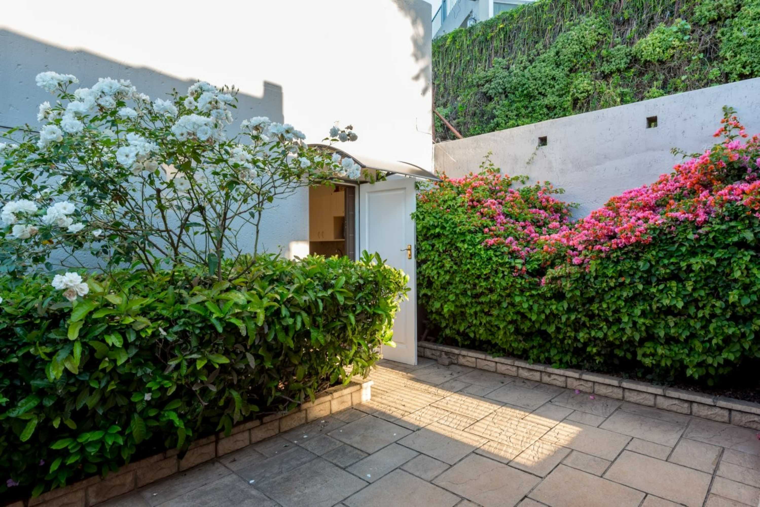  northcliff sanctuary where  tranquility meets views - 物件實景