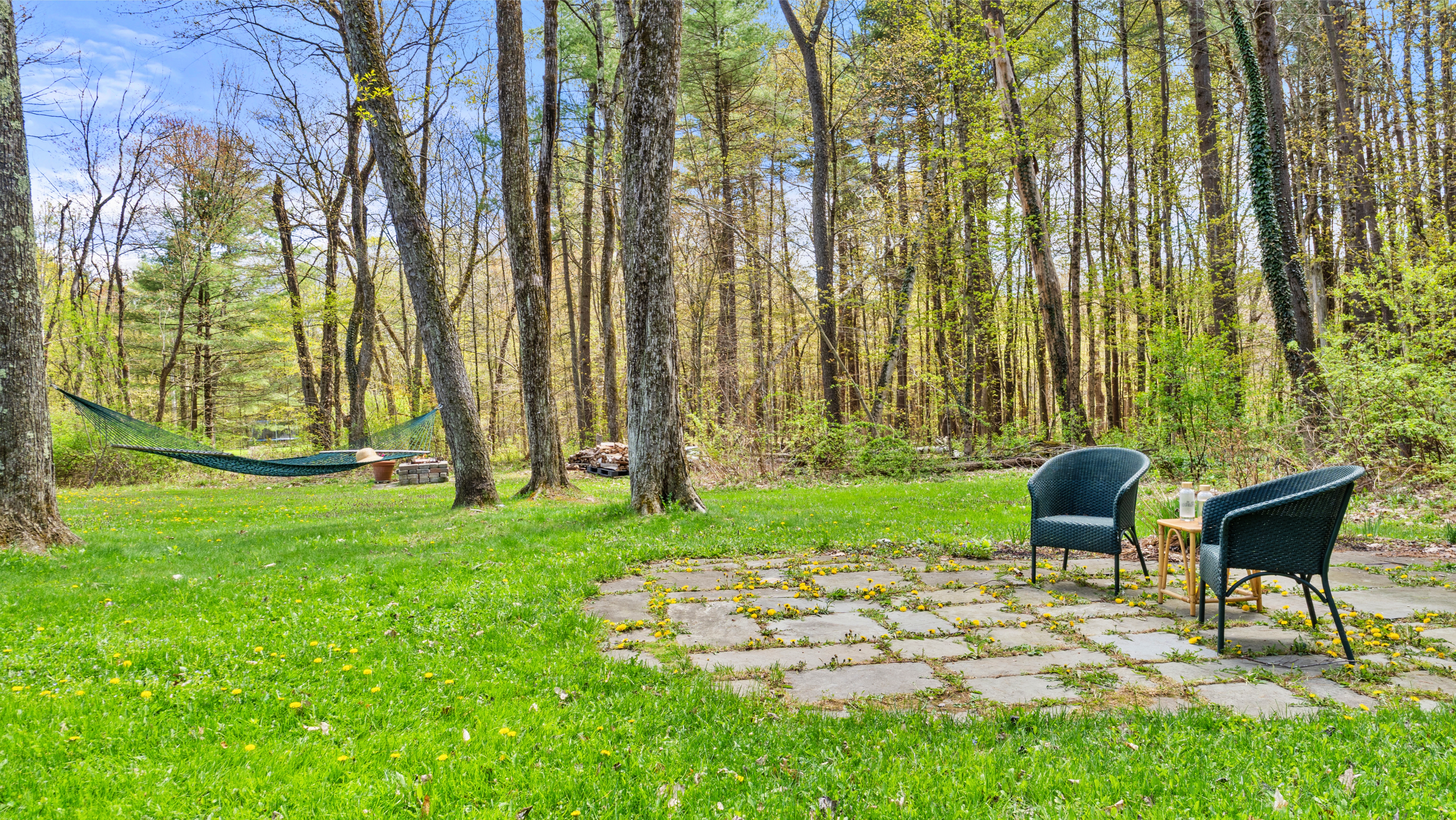  Idyllic Country Living: Sweet Cape on 2 Acres with Berkshire Proximity - 物件實景