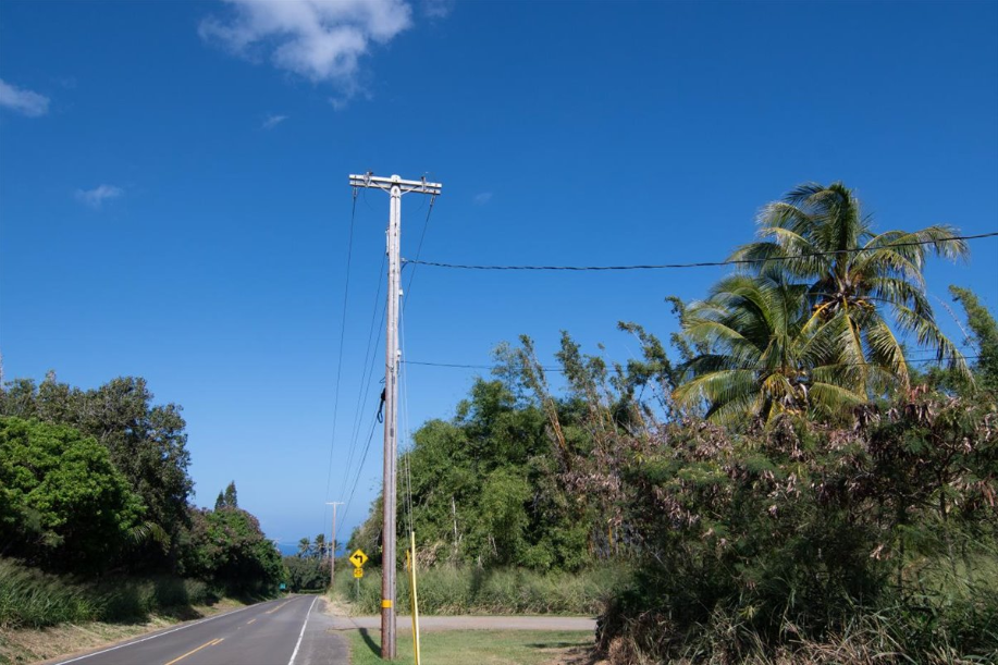Kapaau, Hawaii, 96755, United States, ,Land,For Sale,2005975