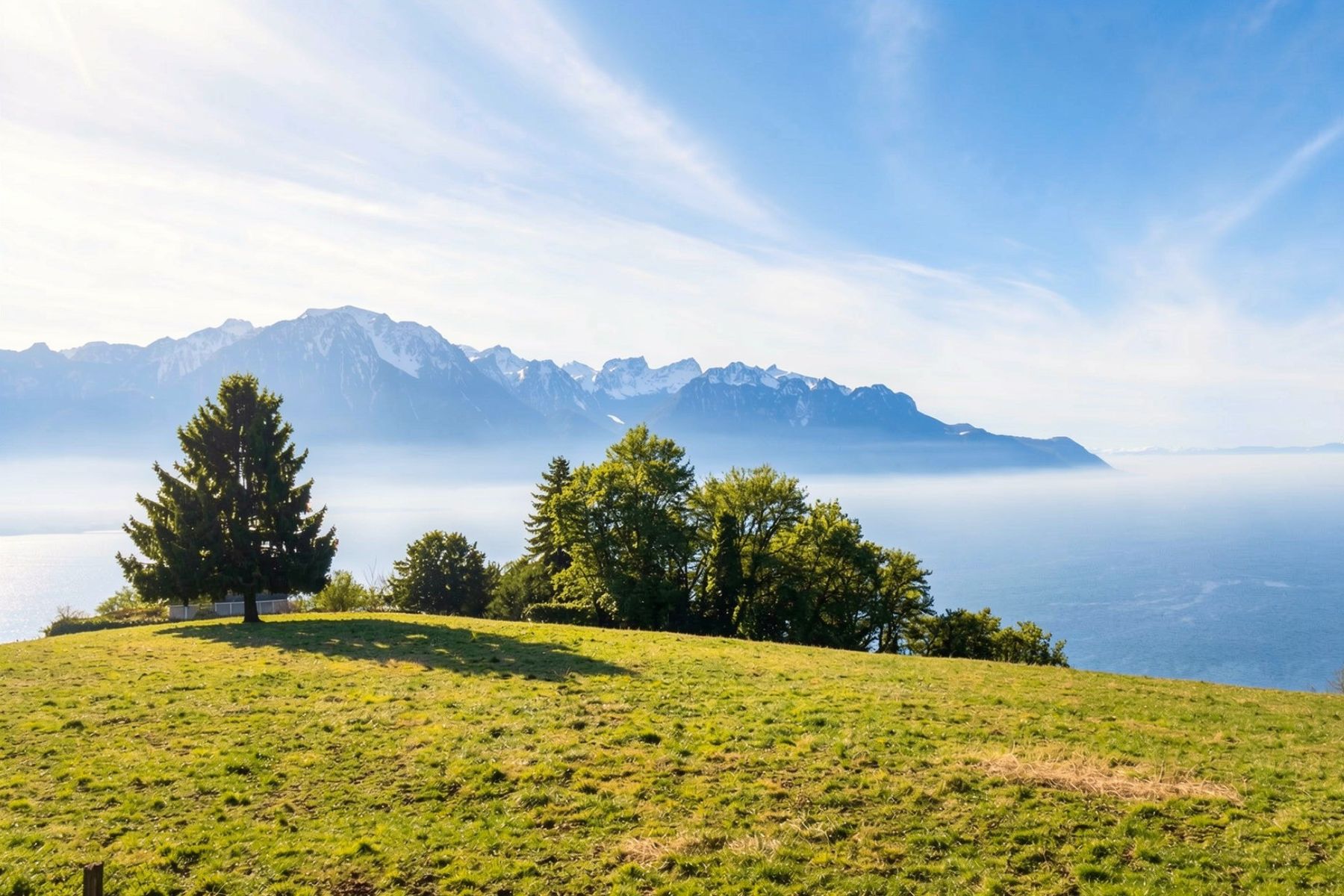  A peaceful place designed for the well-being of the whole family - 物件實景