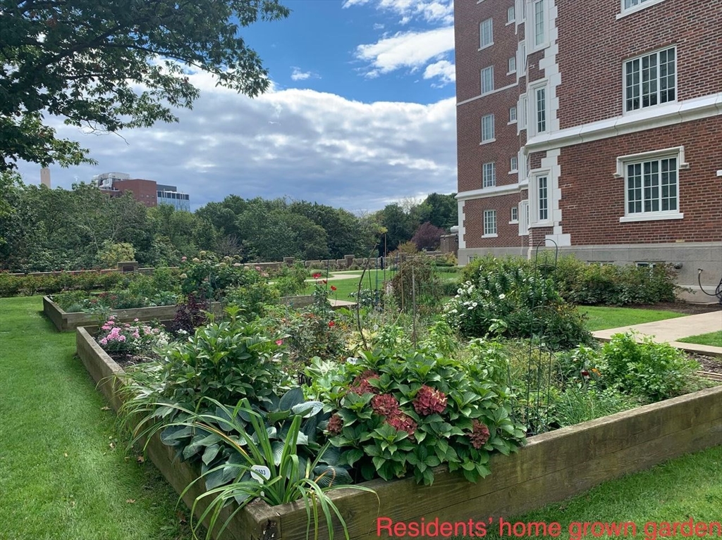 Brookline, Massachusetts, 02446, United States, 3 Bedrooms Bedrooms, ,3 BathroomsBathrooms,Residential,For Sale,1991911