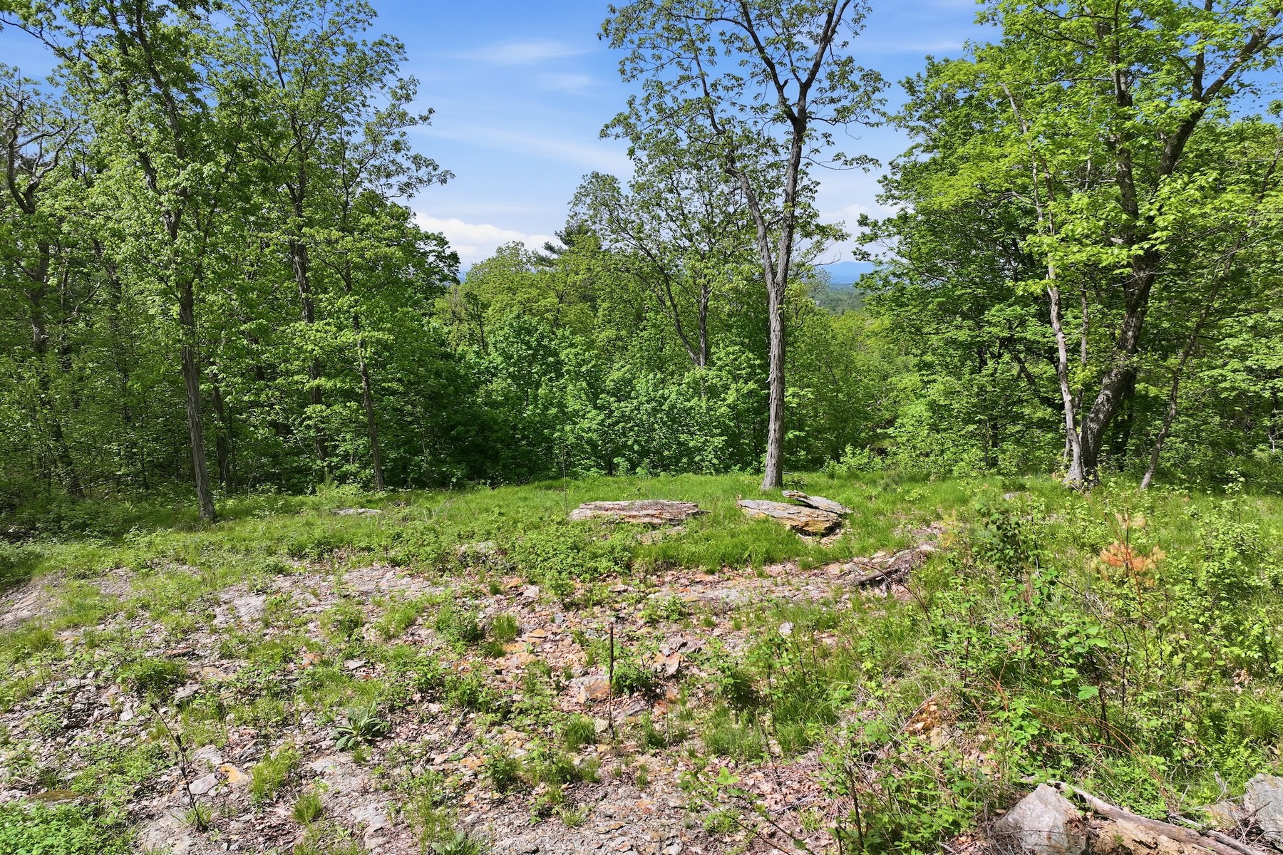  189 Shagbark Lane - 物件實景