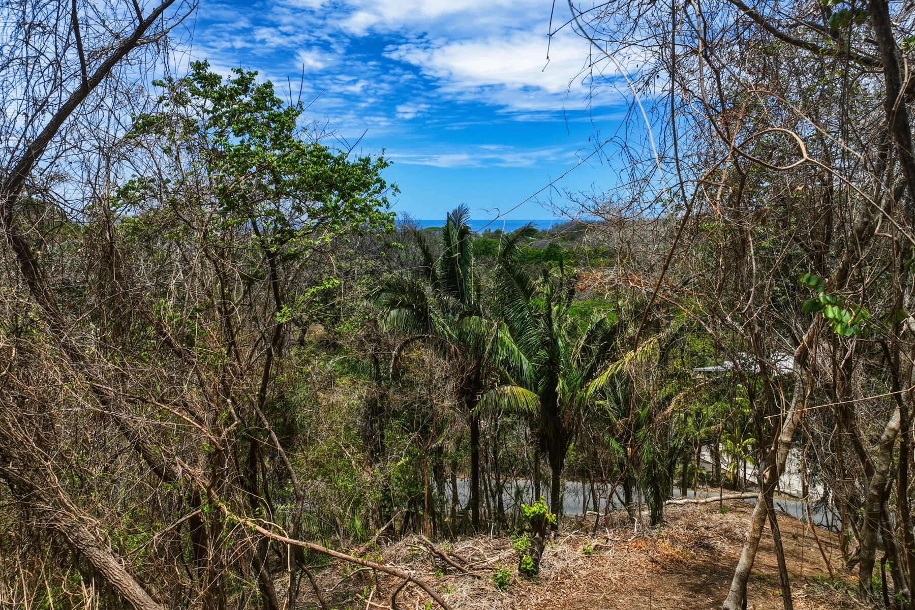  E-9, 1,14 acres with Ocean Views,  &  walkability in one of the best lo - 物件實景