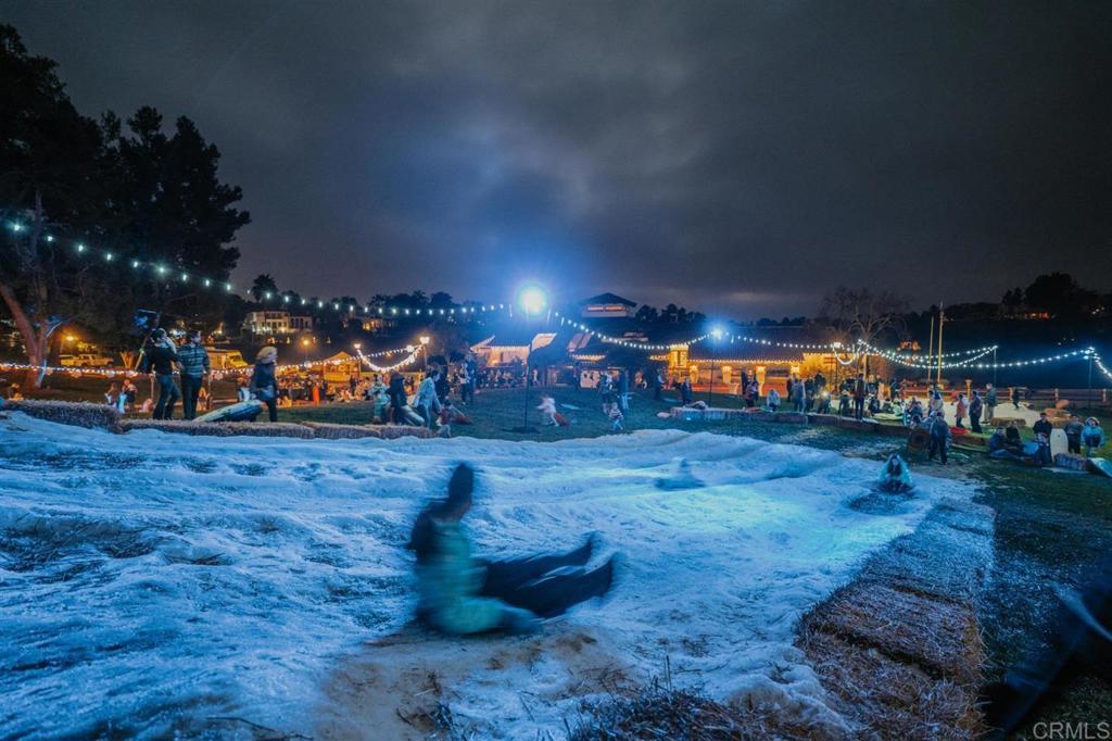 Rancho Sante Fe, California, 92067, United States, 6 Bedrooms Bedrooms, ,7 BathroomsBathrooms,Residential,For Sale,1999124