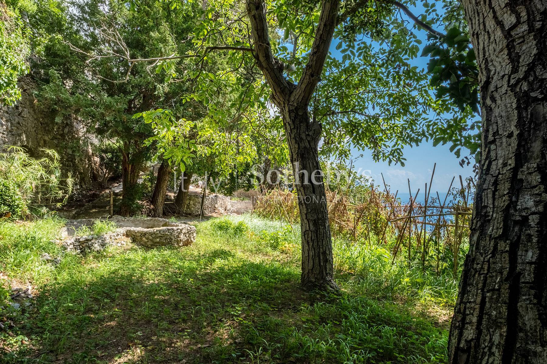  Property with terraces and garden in Positano - 物件實景