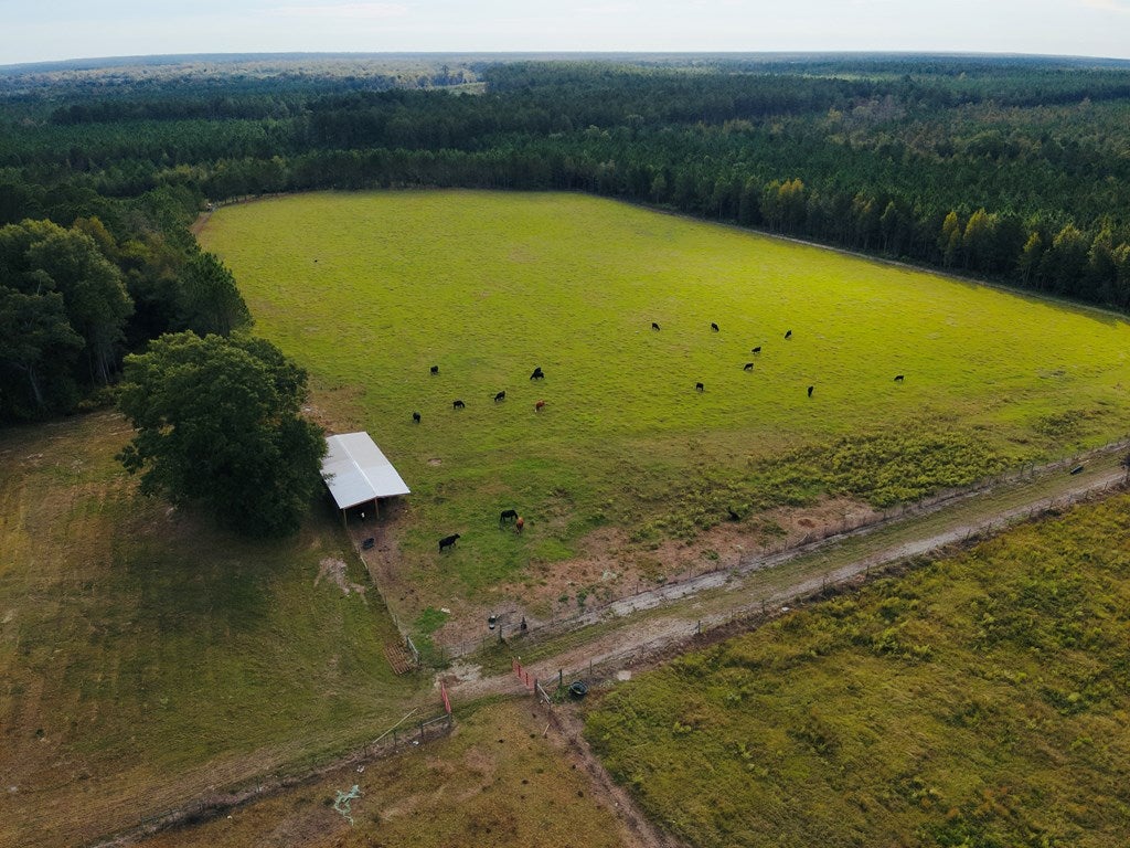 Abbeville, Georgia, 31001, United States, ,Land,For Sale,1975130