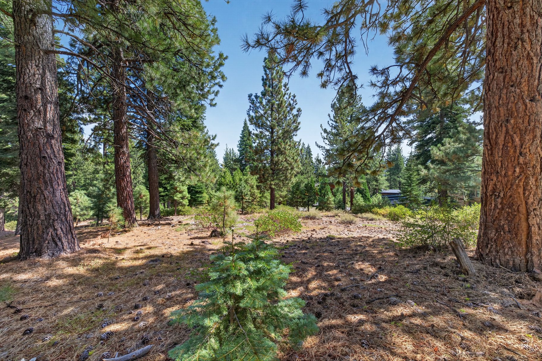  Half Acre, Privacy, and a Central Truckee Address - 物件實景