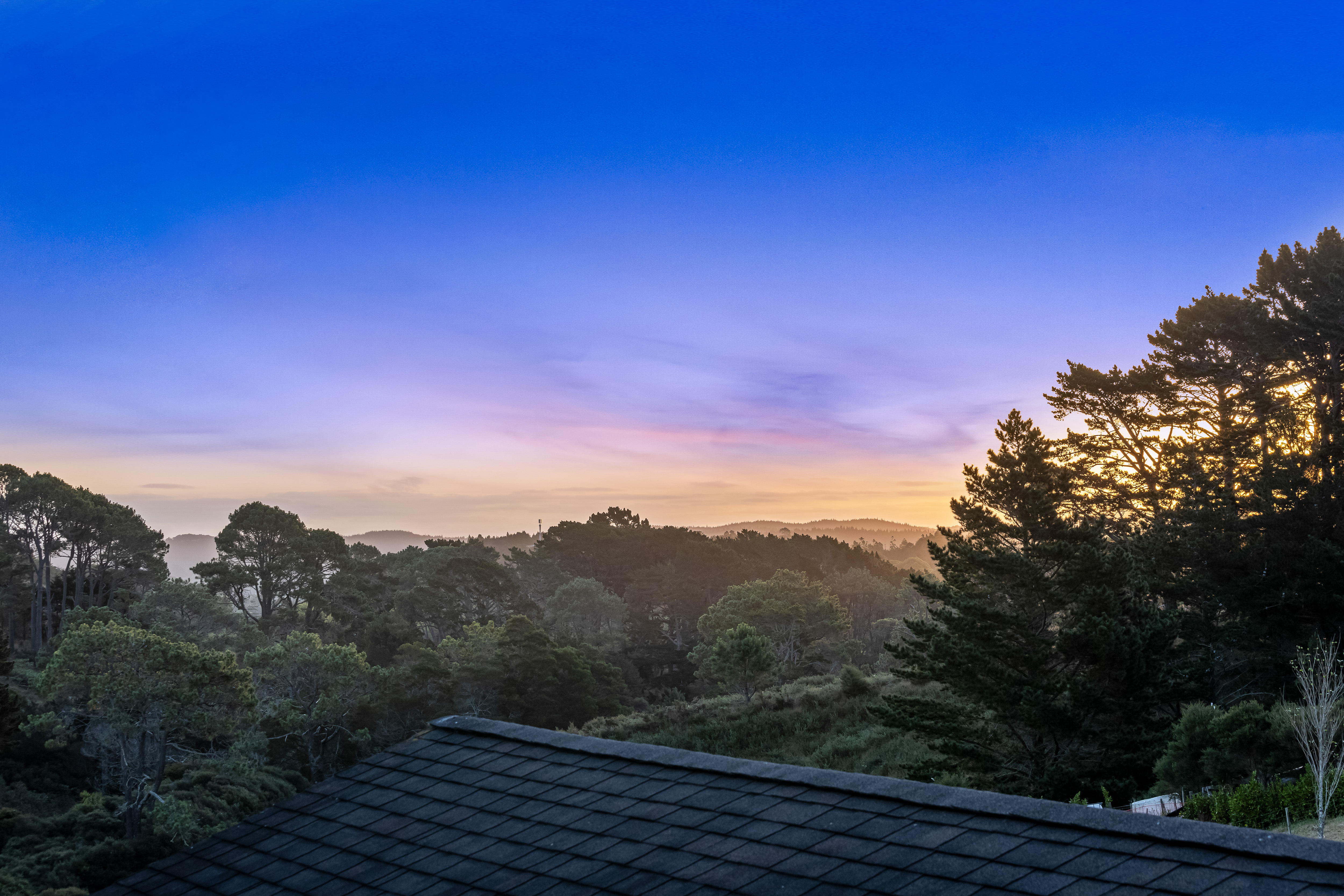  117A Potter Road, Coatesville, Rodney, Auckland - 物件實景