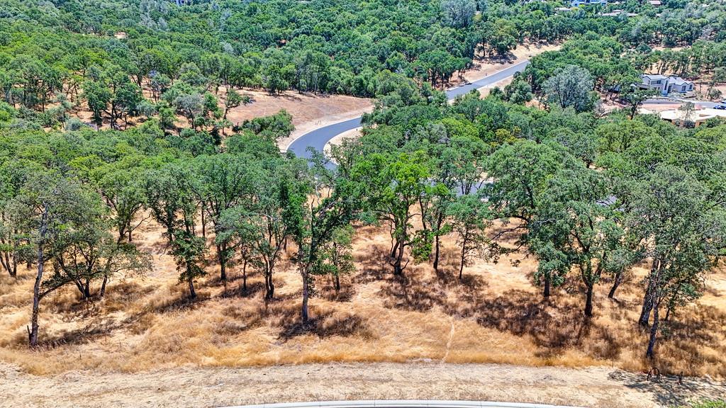 El Dorado Hills, California, 95762, United States, ,Land,For Sale,1874458