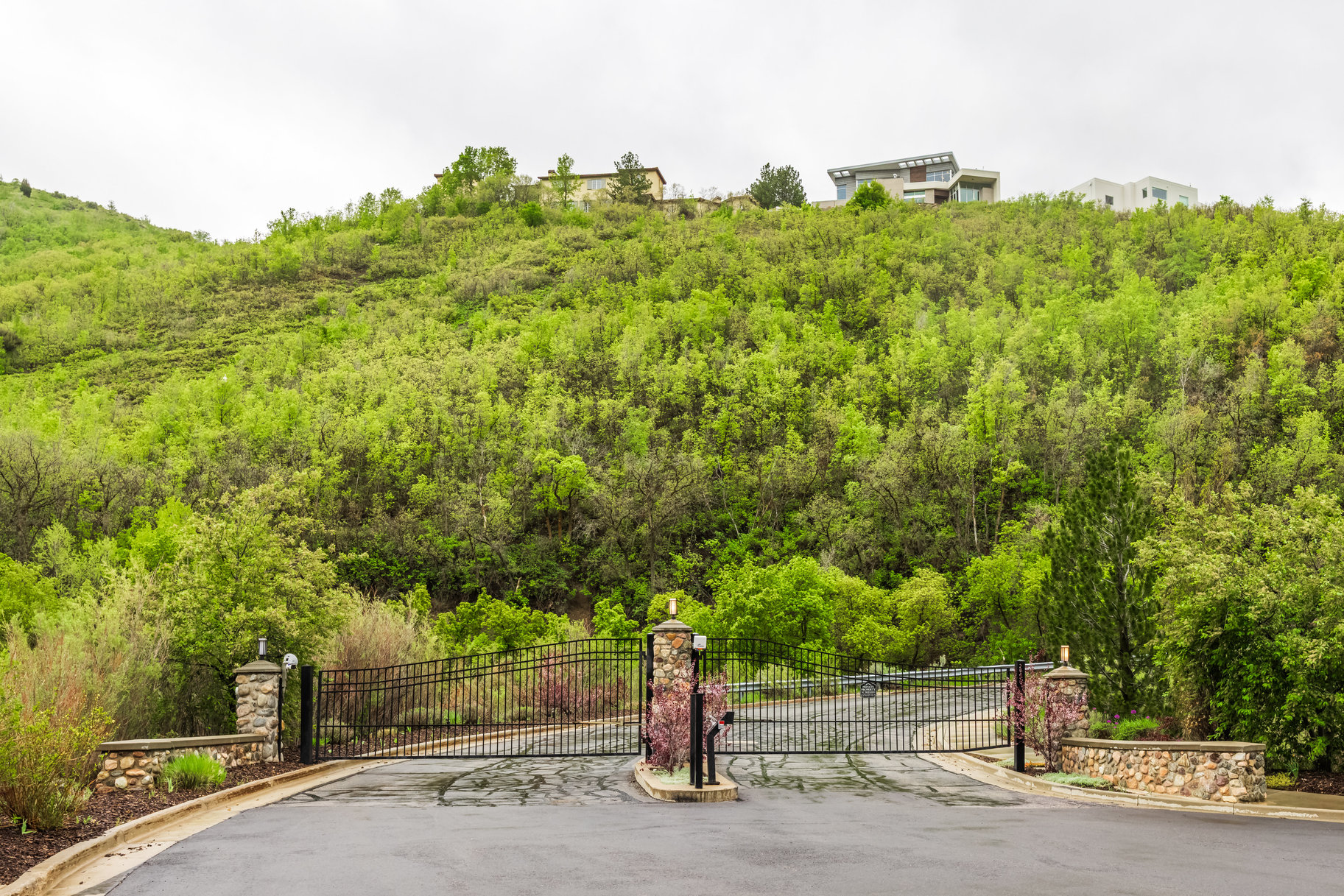  Fantastic Half-Acre Homesite in the Gated Emigration Place Neighborhood - 物件實景