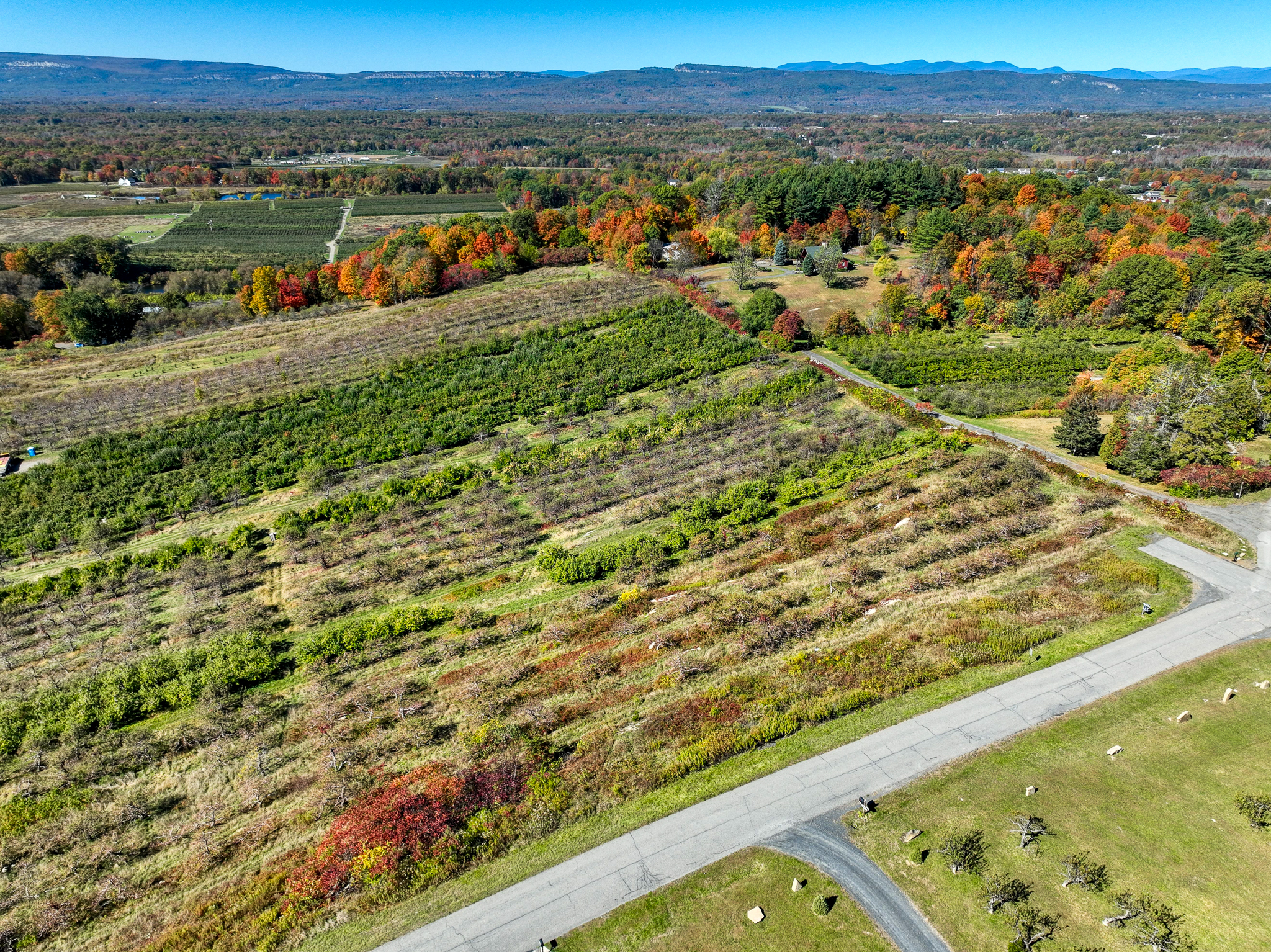  75 Palazzo Lane, Highland, NY 12528 - 物件實景